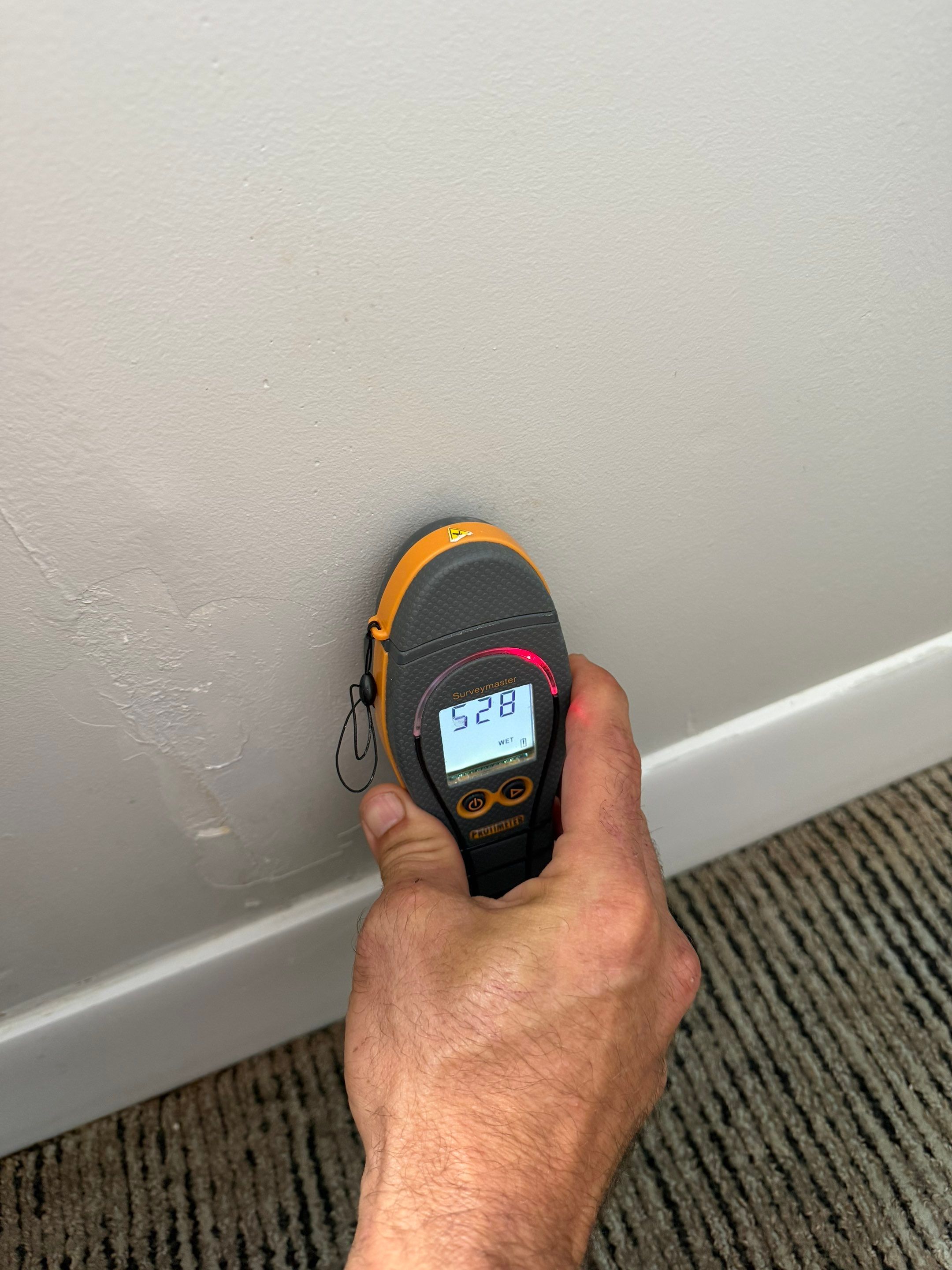 Project in Fort Myers, Florida by Leak Inspector