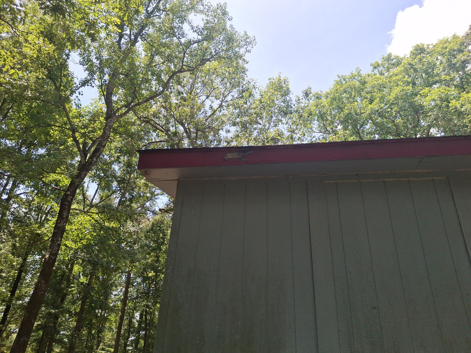 * From Worn to Wow: A Complete Henderson, Texas Modular Home Transformation by Quality Coats Painting