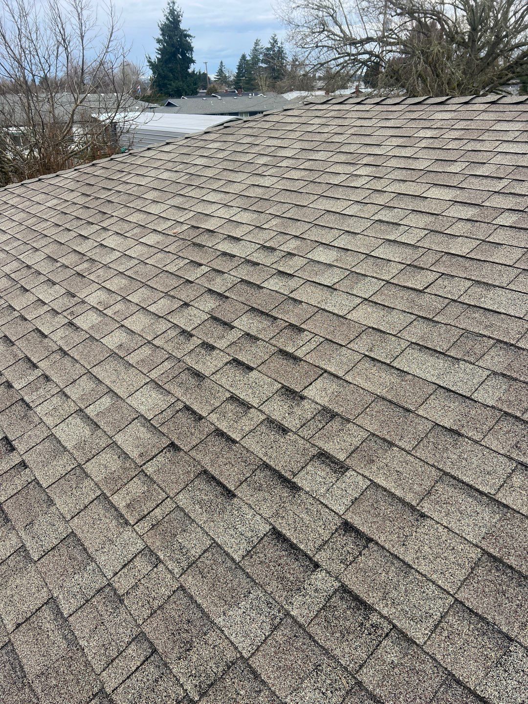 Residential Roofing Installation using IKO Dynasty (Color: Granite Black) by Orezona Building & Roofing Company, Inc.