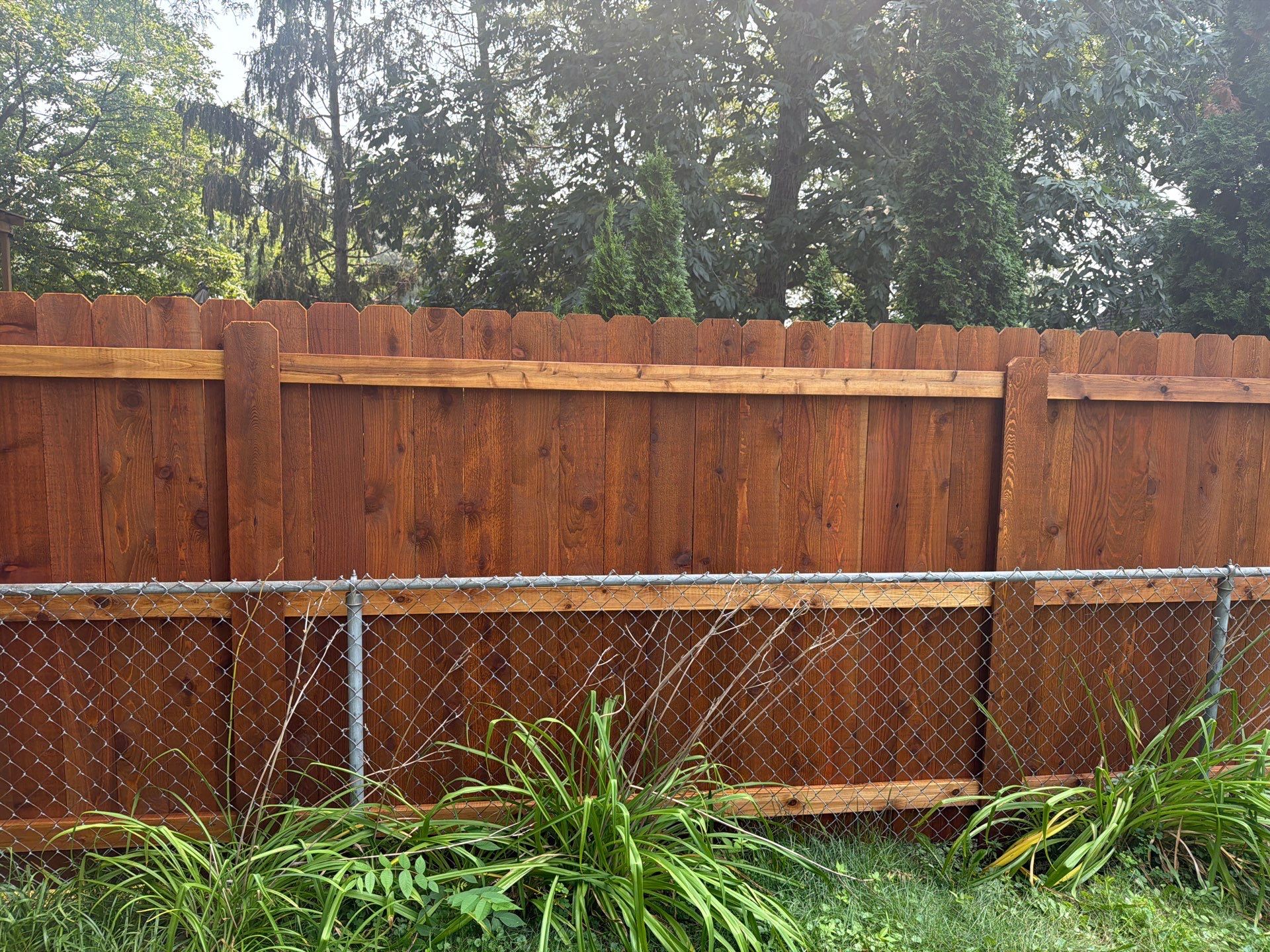 Pecan Cedar Privacy Fence Installation with Scalloped Top in Cedar Falls by Perfect Picket Fence and Stain