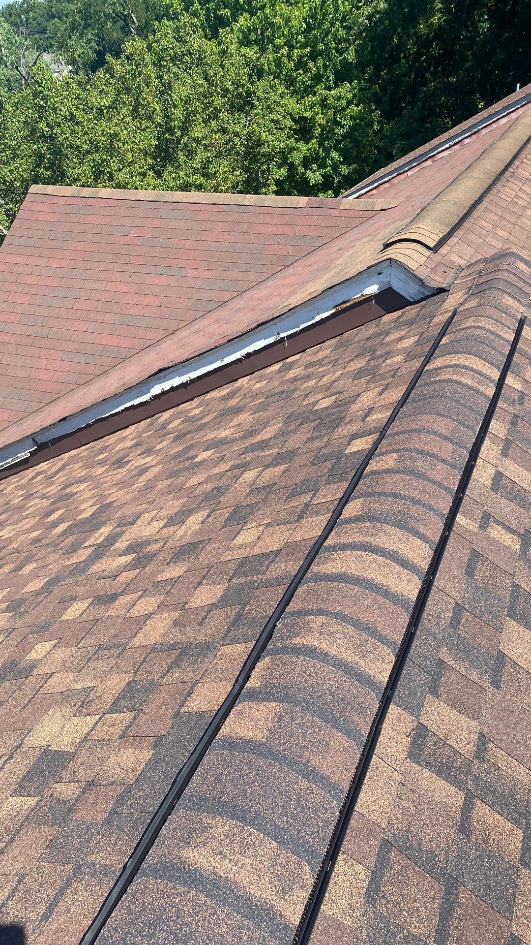 Alexandria: Roof Replacement with CertainTeed Landmark Pro in Max Def Burnt Sienna by RM Banning, Inc.