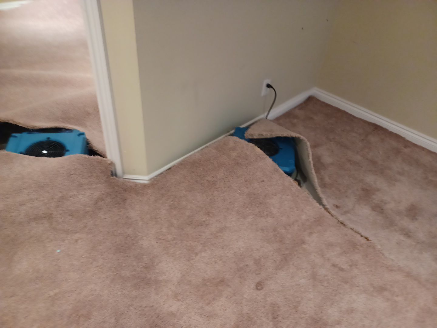 Project in West Bloomfield Township by EzDry Water Mitigation & Property Restoration