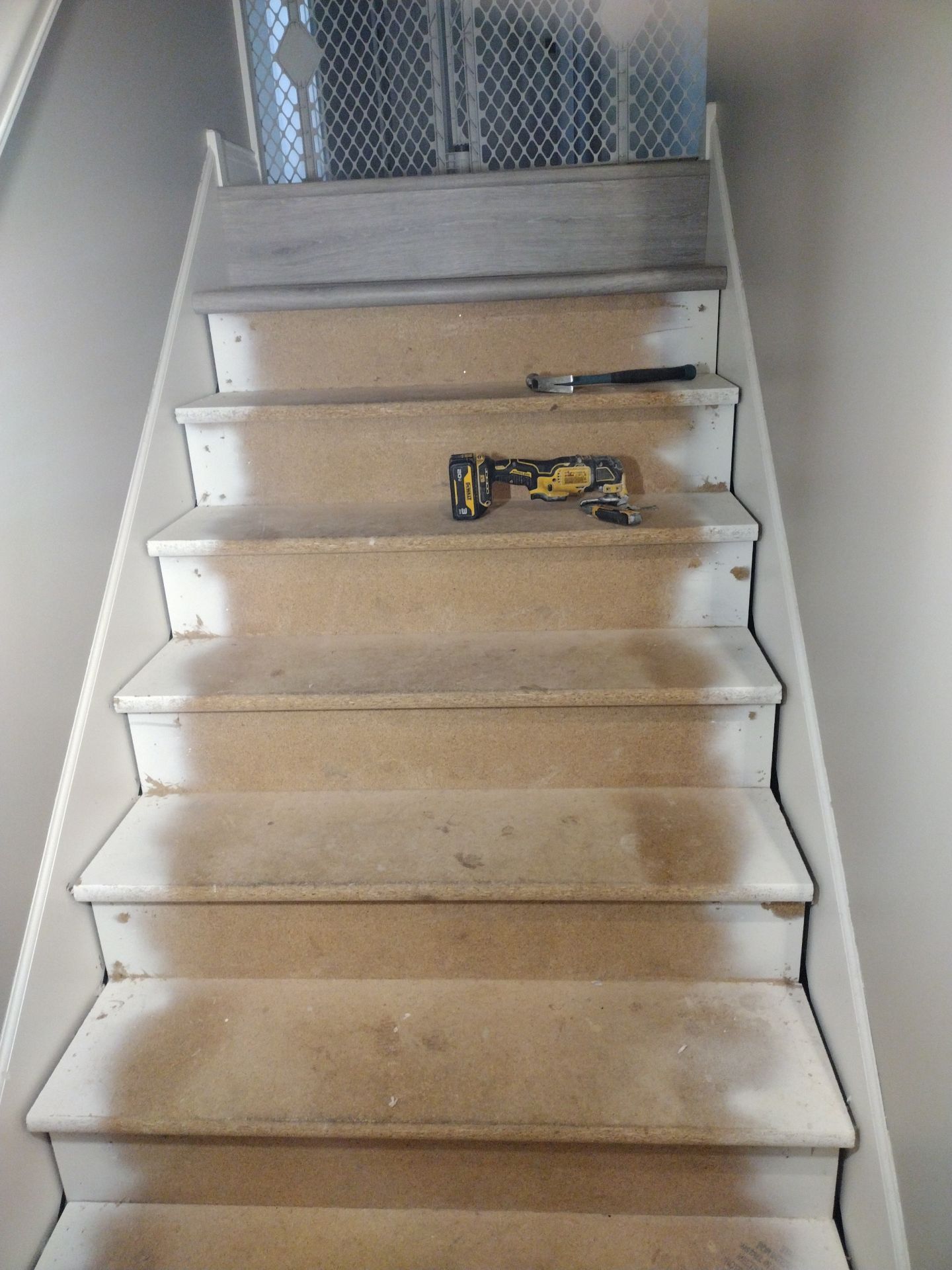 Puppy Room Conversion – Patio to Premium Pet Space by Johnny Five Construction 