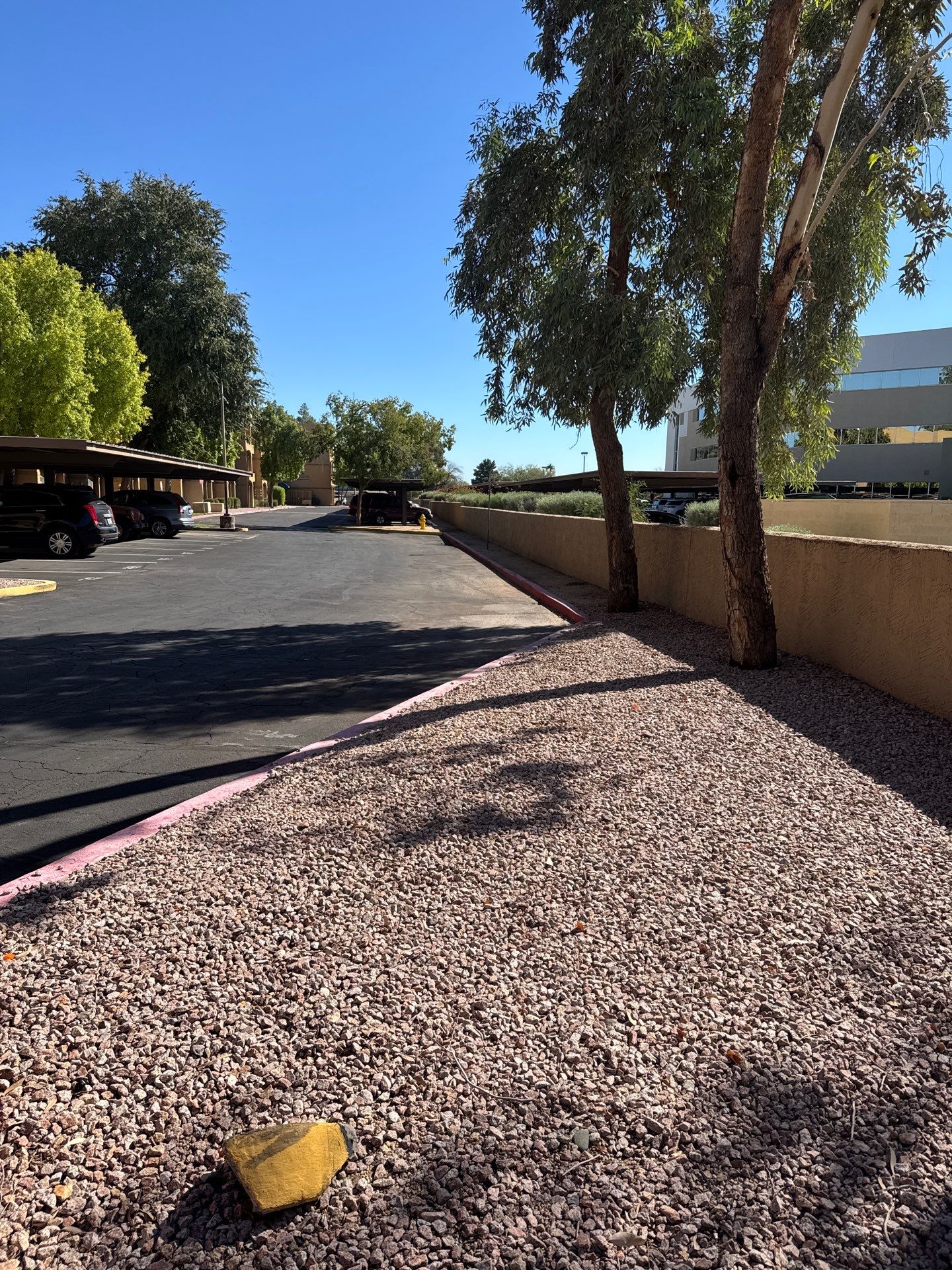 Project in Glendale by Crush Development Services LLC