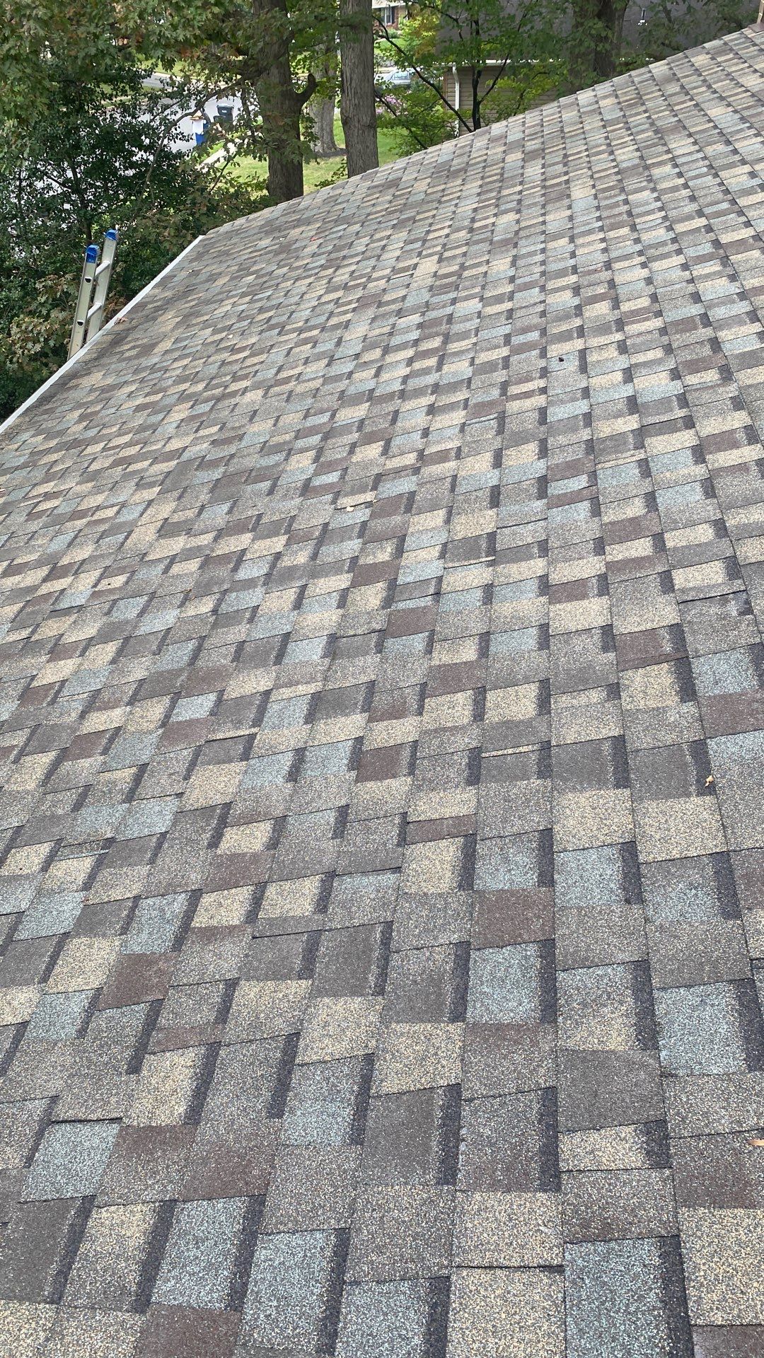 Springfield : Residential Roof Replacement with CertainTeed Landmark Pro in Max Weathered Wood  by RM Banning, Inc.