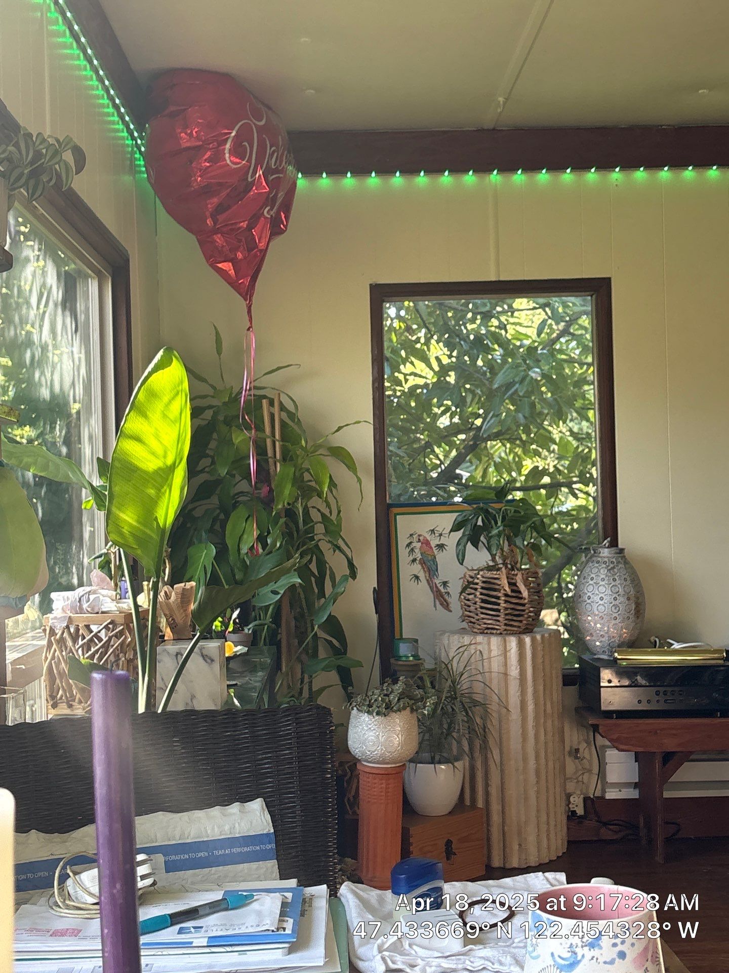 Project in Vashon, WA by CompanyCam Sales Demo