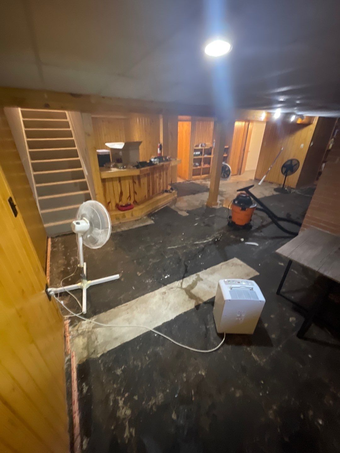 Custom Dual Sump System for Maggie by Waterproofing Northeast