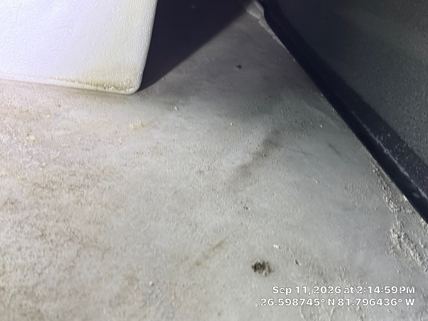 Fort Myers Water Damage Restoration and Professional Mold Remediation by Microscope