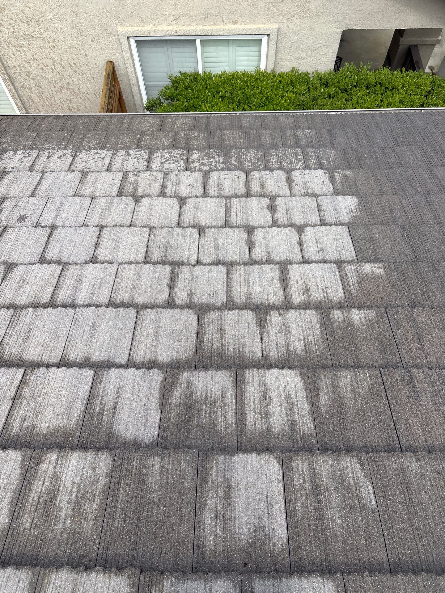 Moss Removal by Top Elevation