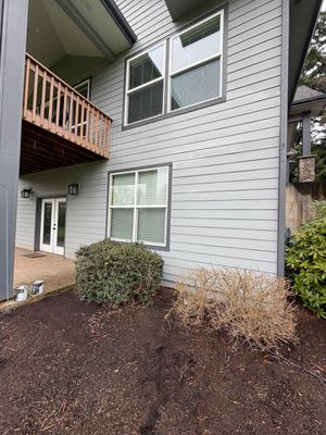 Window Leak Repairs