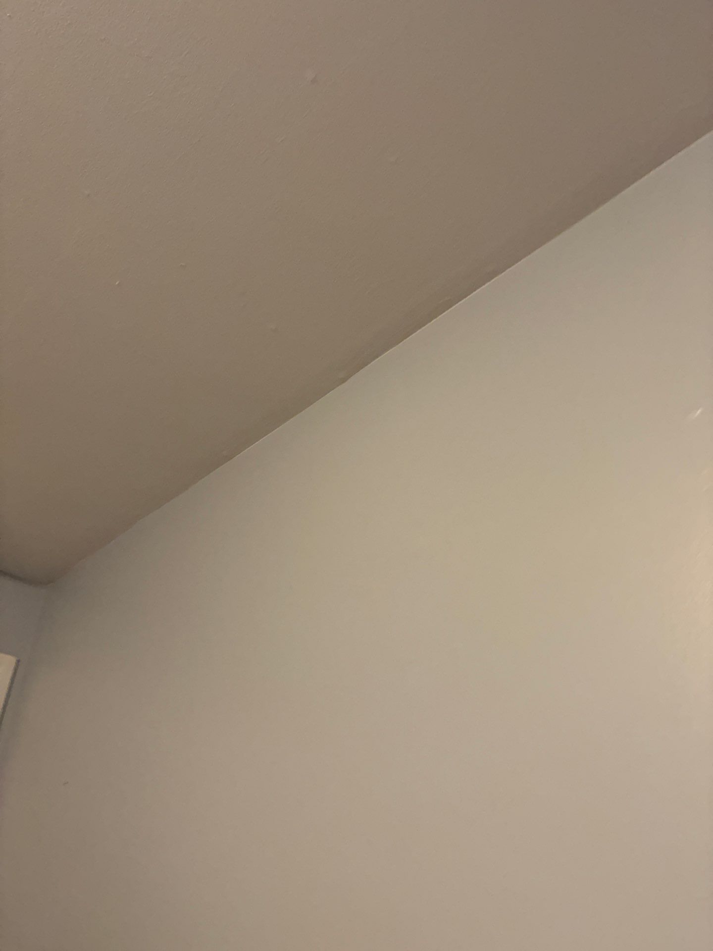 Interior Renovation Featuring New Lighting and Electrical Updates in Denver by CompanyCam Sales Demo