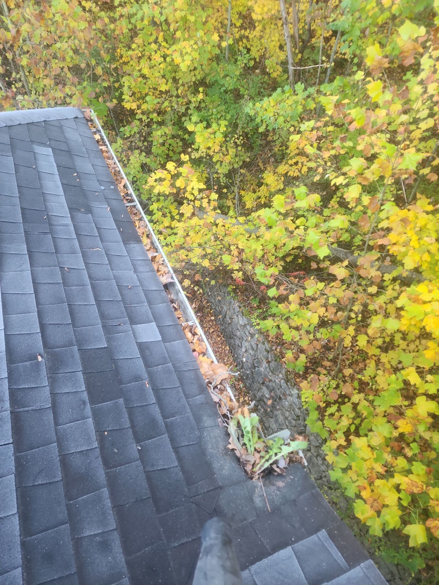 Commercial gutter cleaning West Virginia before photo with filled gutters