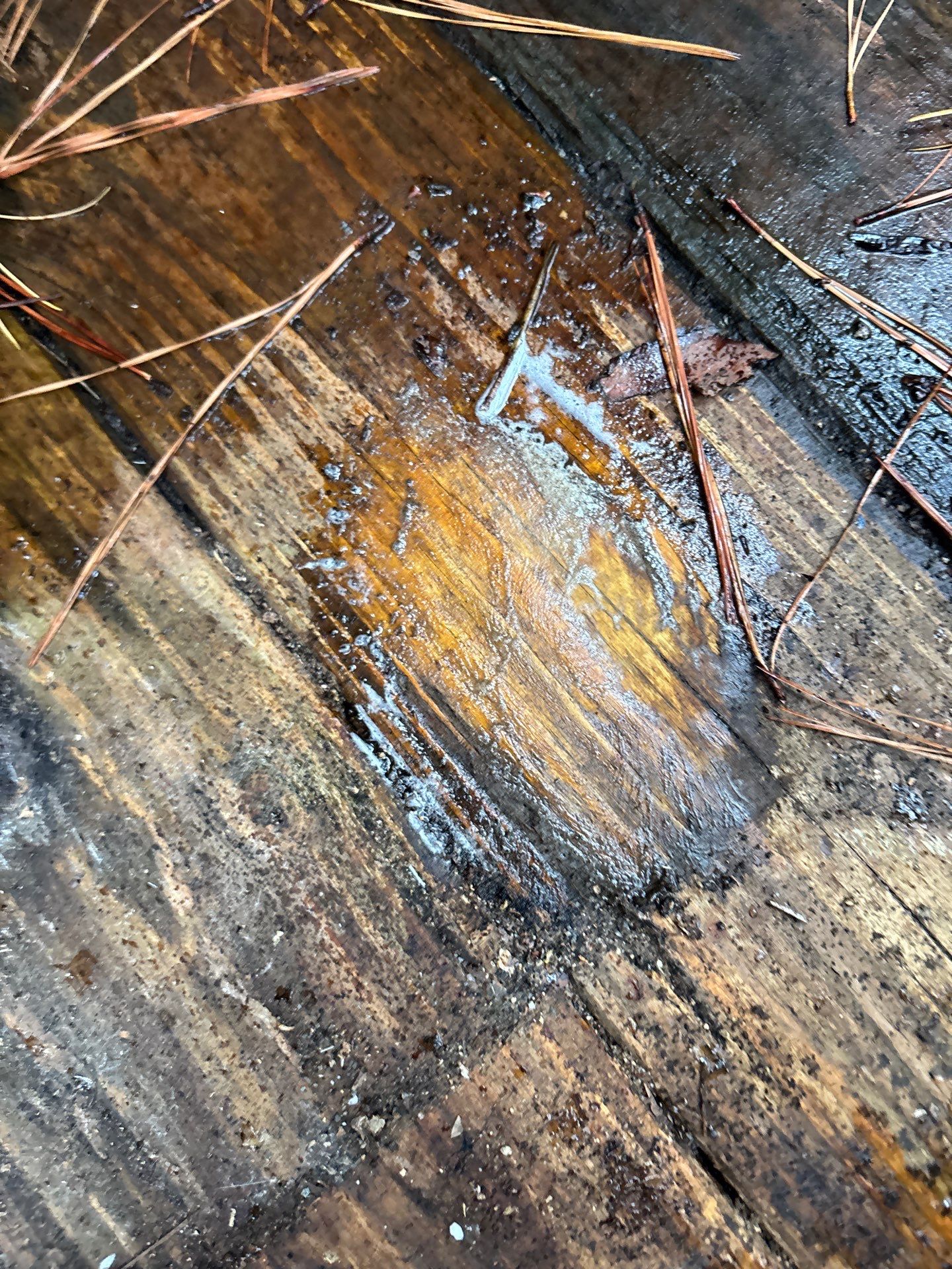 Wood Deck using Wood Sealant by DuraSeal