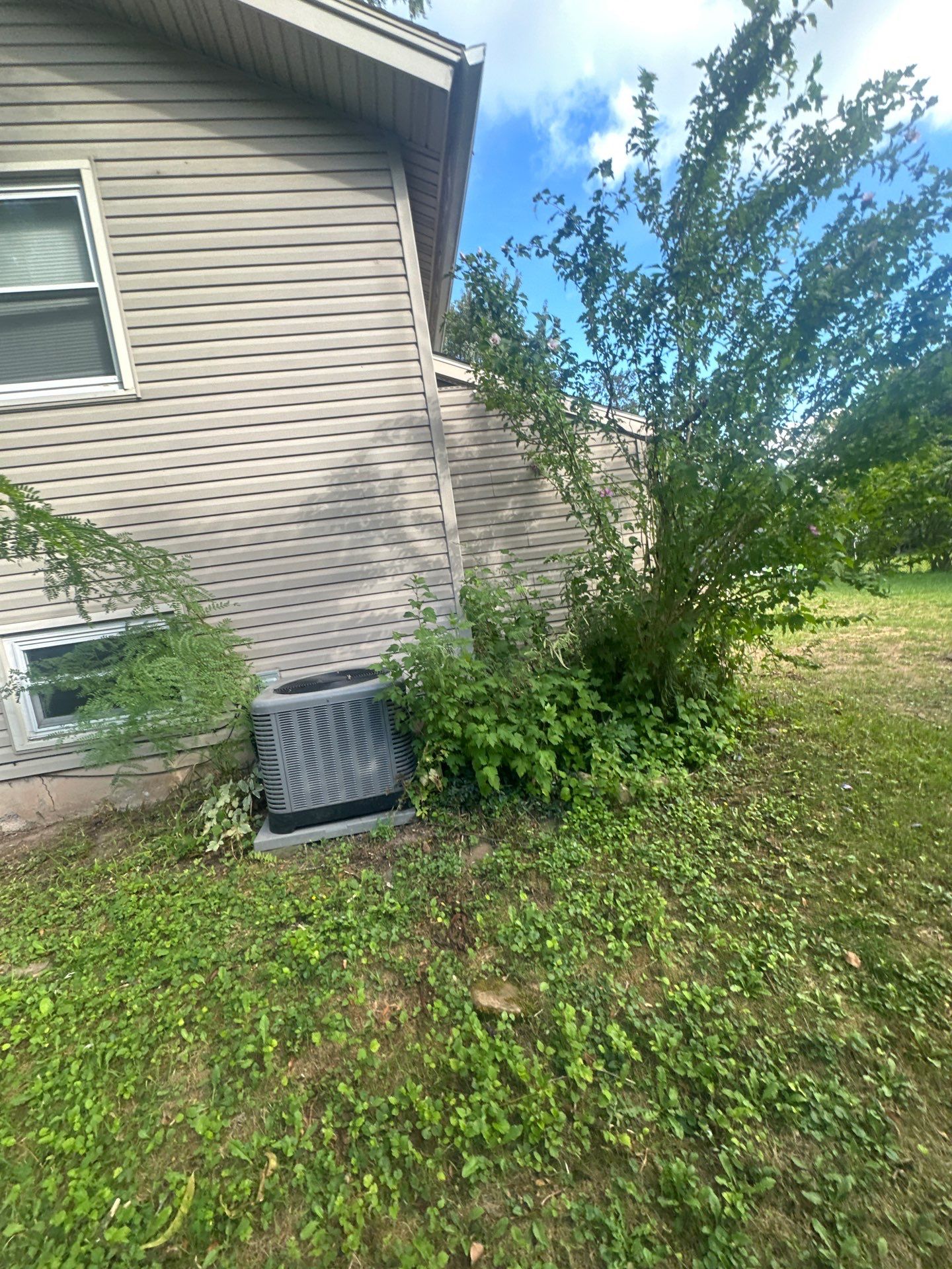 Inspección  by Mike home improvements 