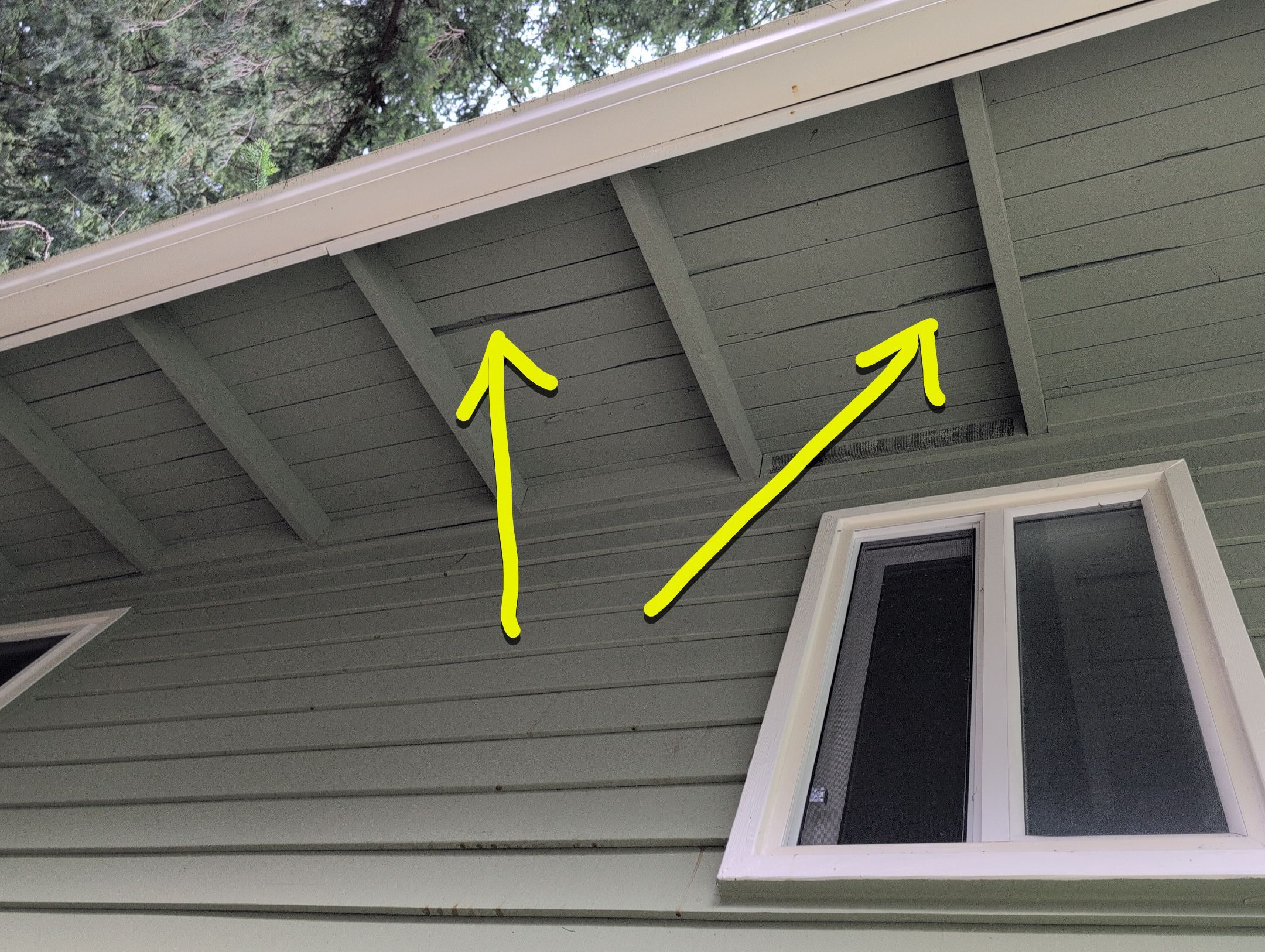 EuroShield Project in Bellevue by Roof Smart