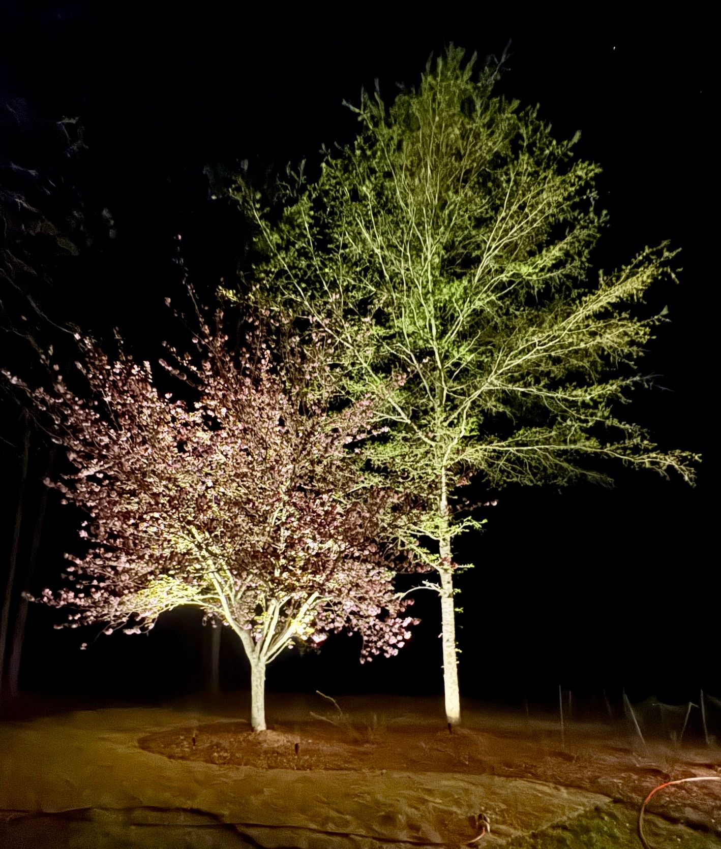 Georgia Outdoor Decor featured photo.