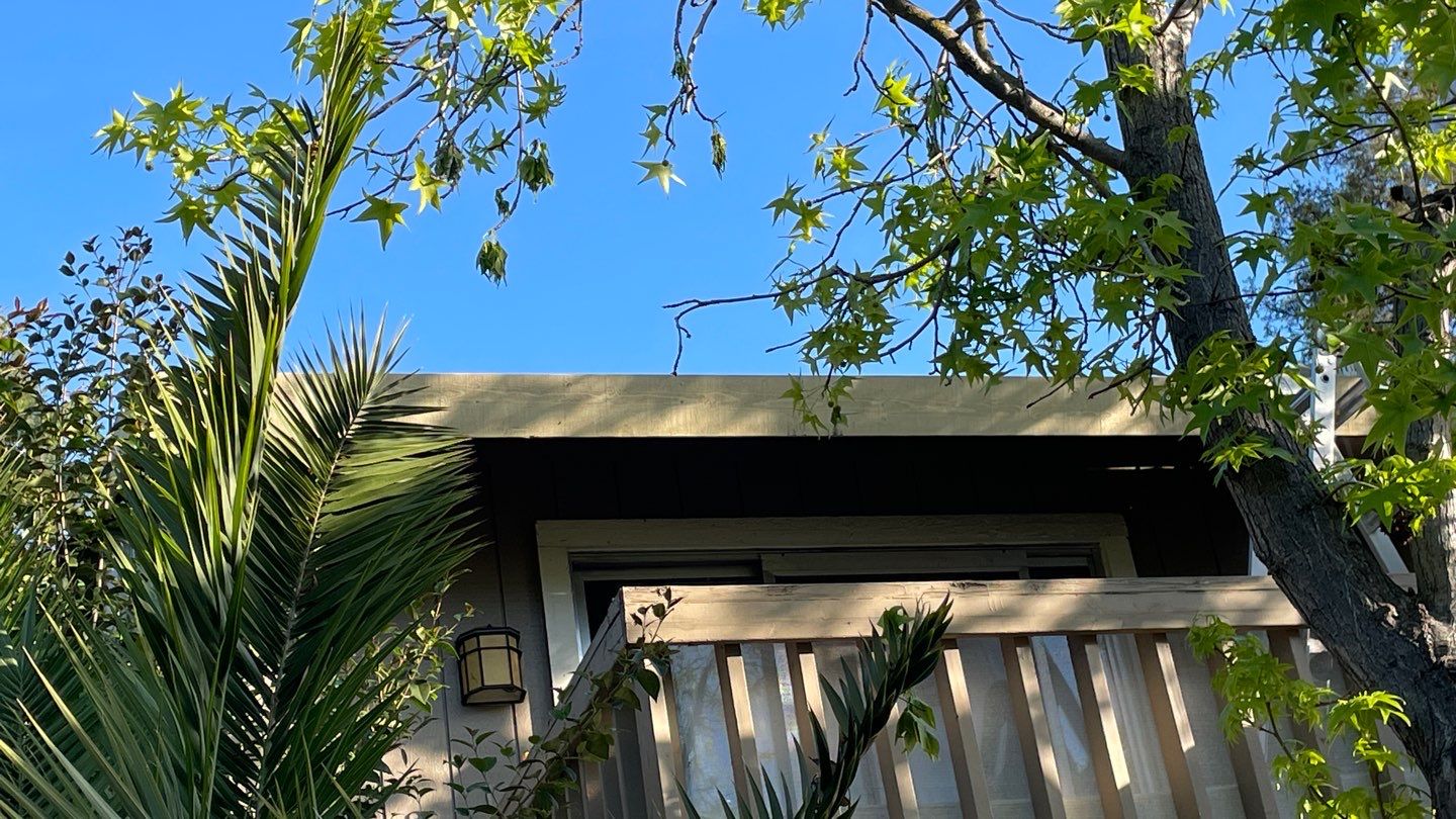 Removed tile from roof and replaced with shingles by Straight Edge Roofing Inc