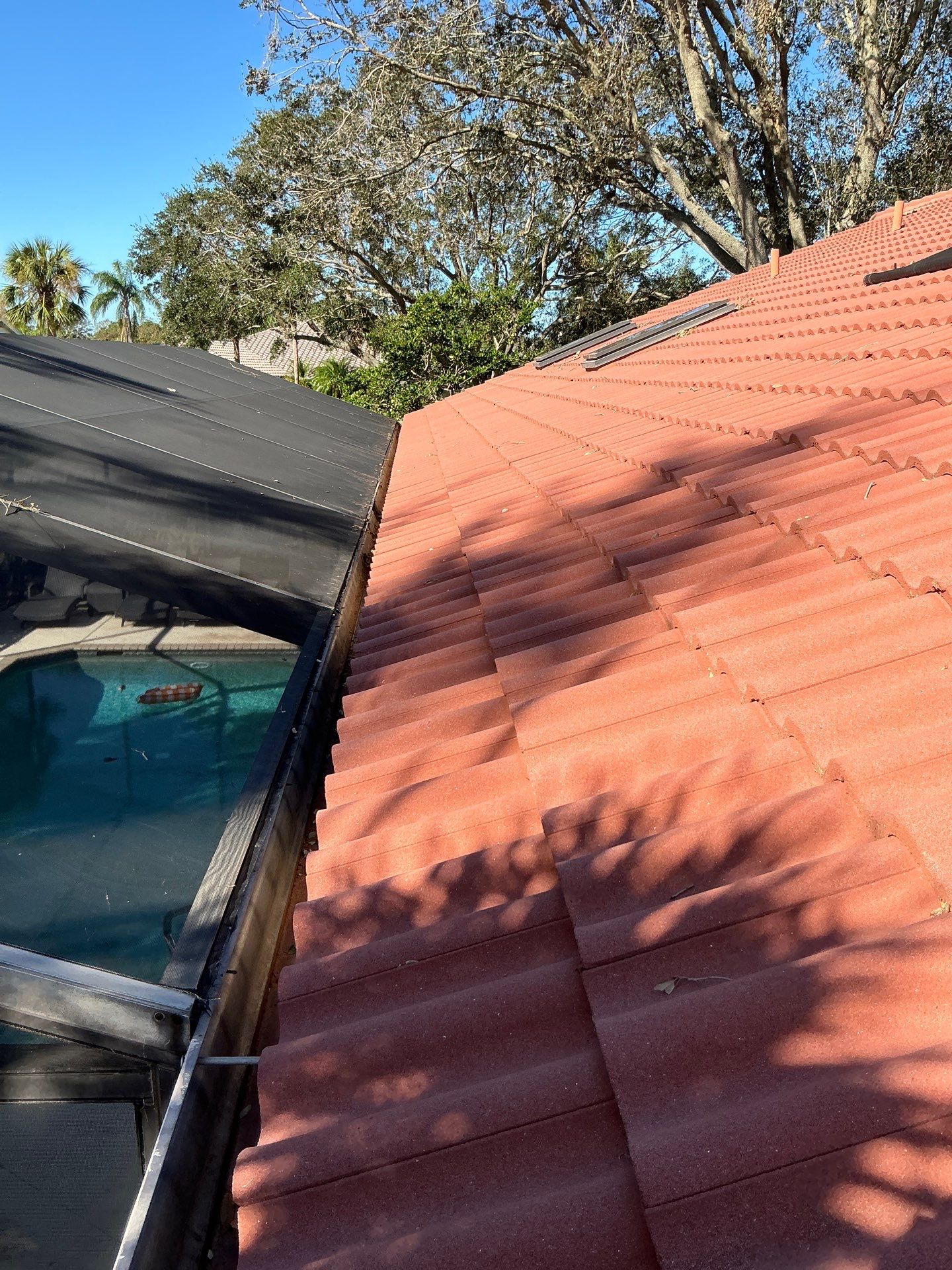 Gutter Cleaning Services in Sarasota FL by Gutter Professors