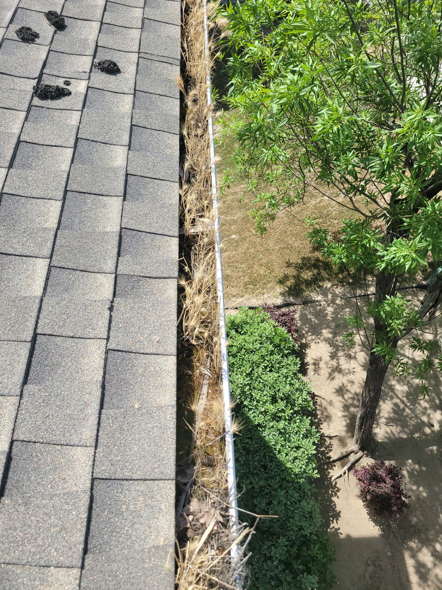 Commercial gutter cleaning Bakersfield, CA before photo with filled gutters