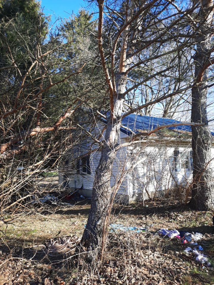 Storm Damaged Tree Removal  using Tree Removal by Mike Jones & Sons Tree Service LLC 