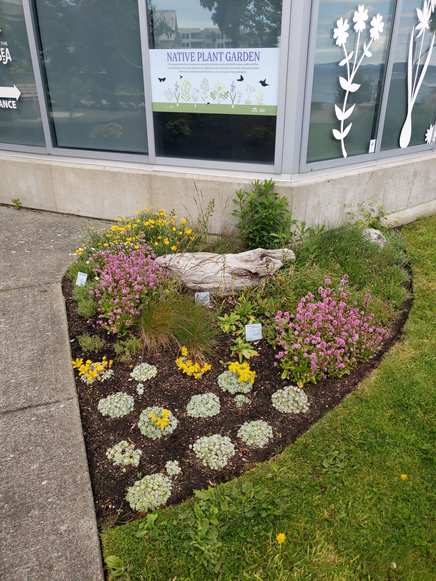 Sidney Pier by Habanero Garden and Exterior Care