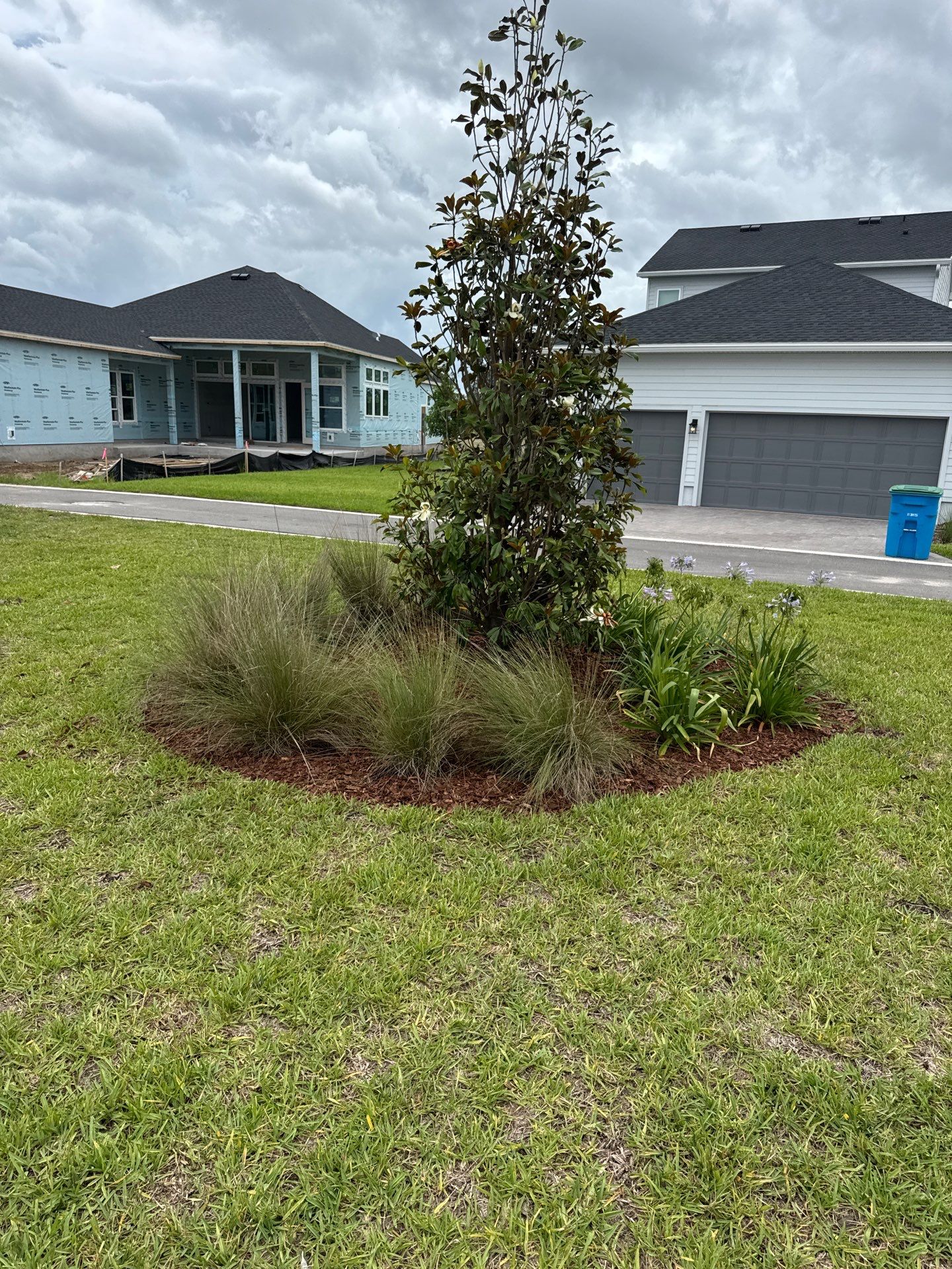 Residential | Sod Install by ProGreen Services