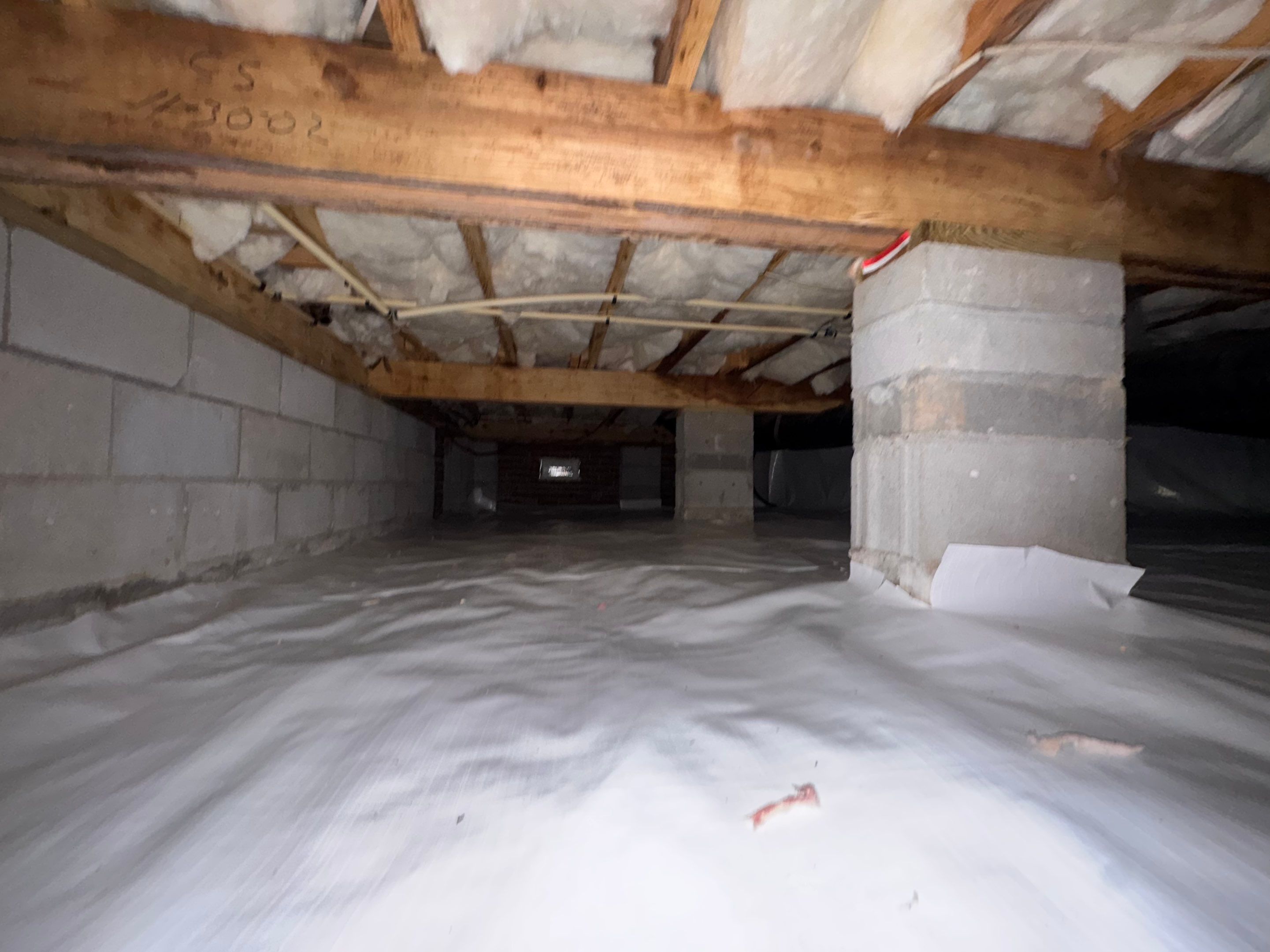 Moisture Barrier, Mold Clean, Structural Repair, Dehumidifier, R19 Insulation. by Impact Crawlspace