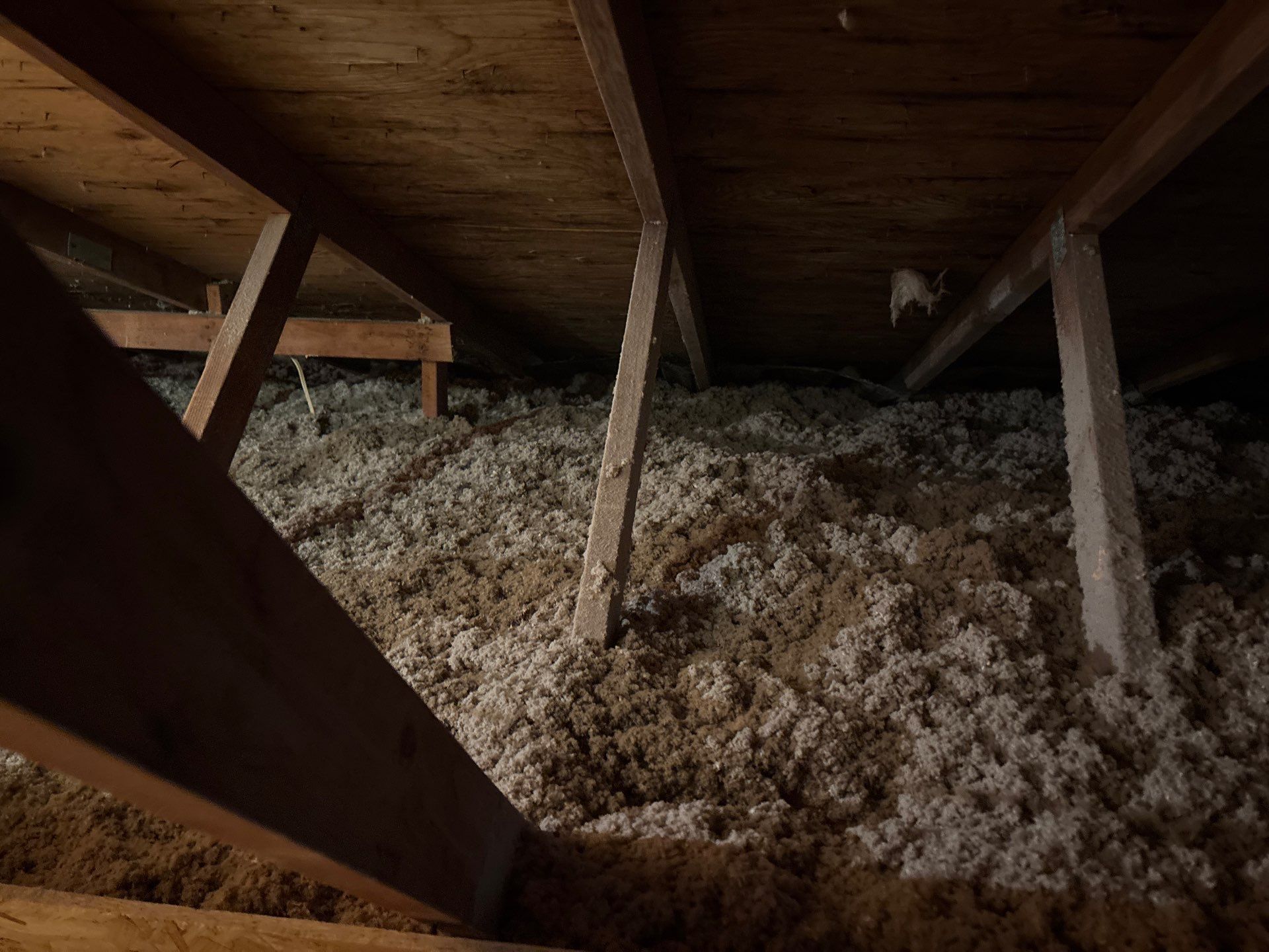 Eliminating Attic Mold and Ice Formation in Bethel Park, PA 15102 by Home Environment Solutions
