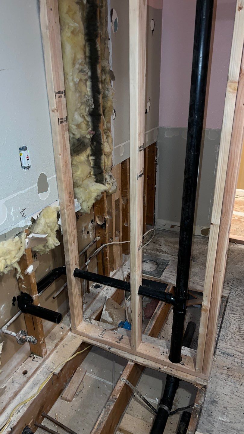 Two Bathroom Remodel  by Plumbing Connect Systems LLC