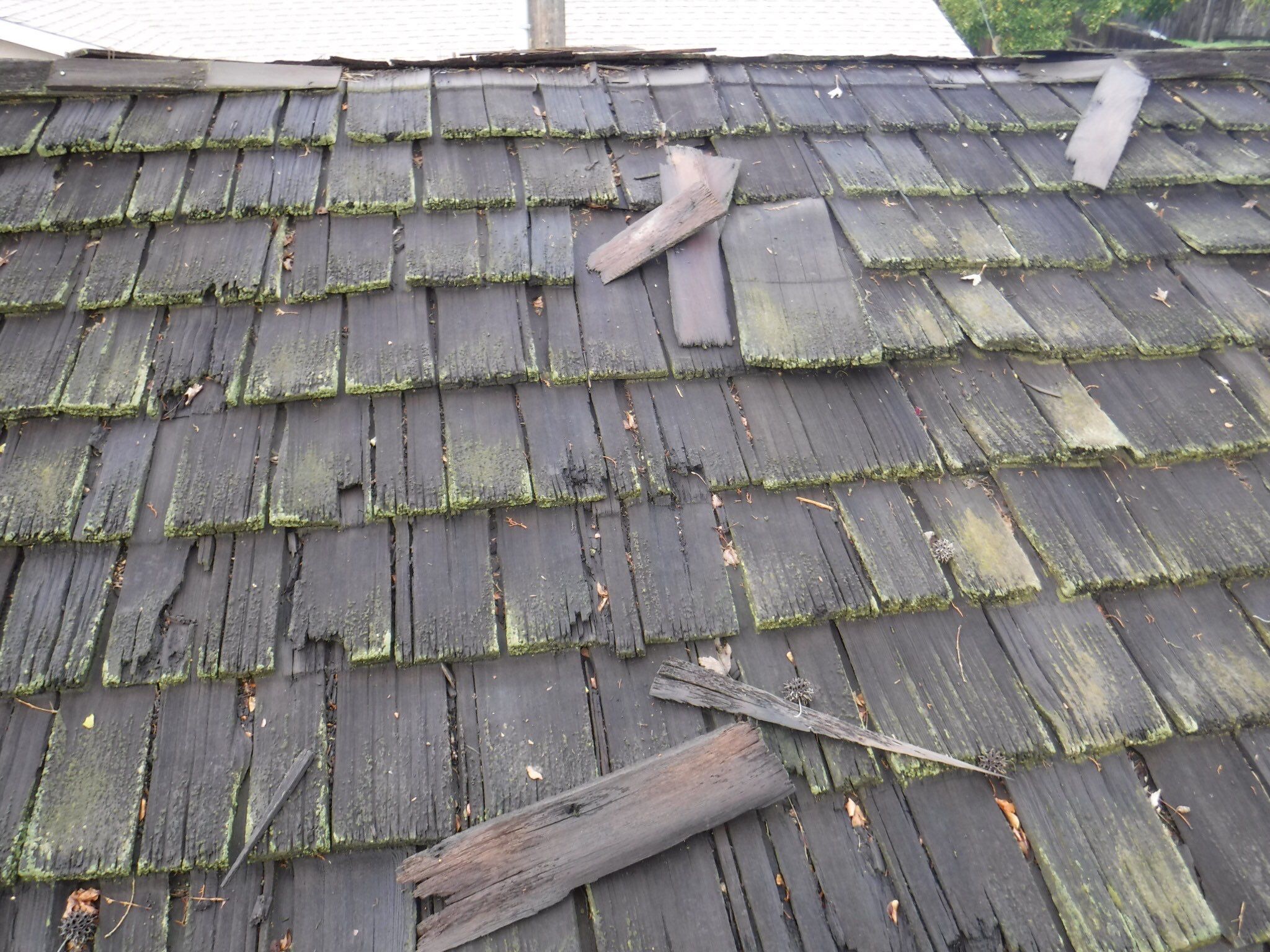 Attic Insulation, LeafGuard Gutters, and a new roof. by Byers Enterprises 