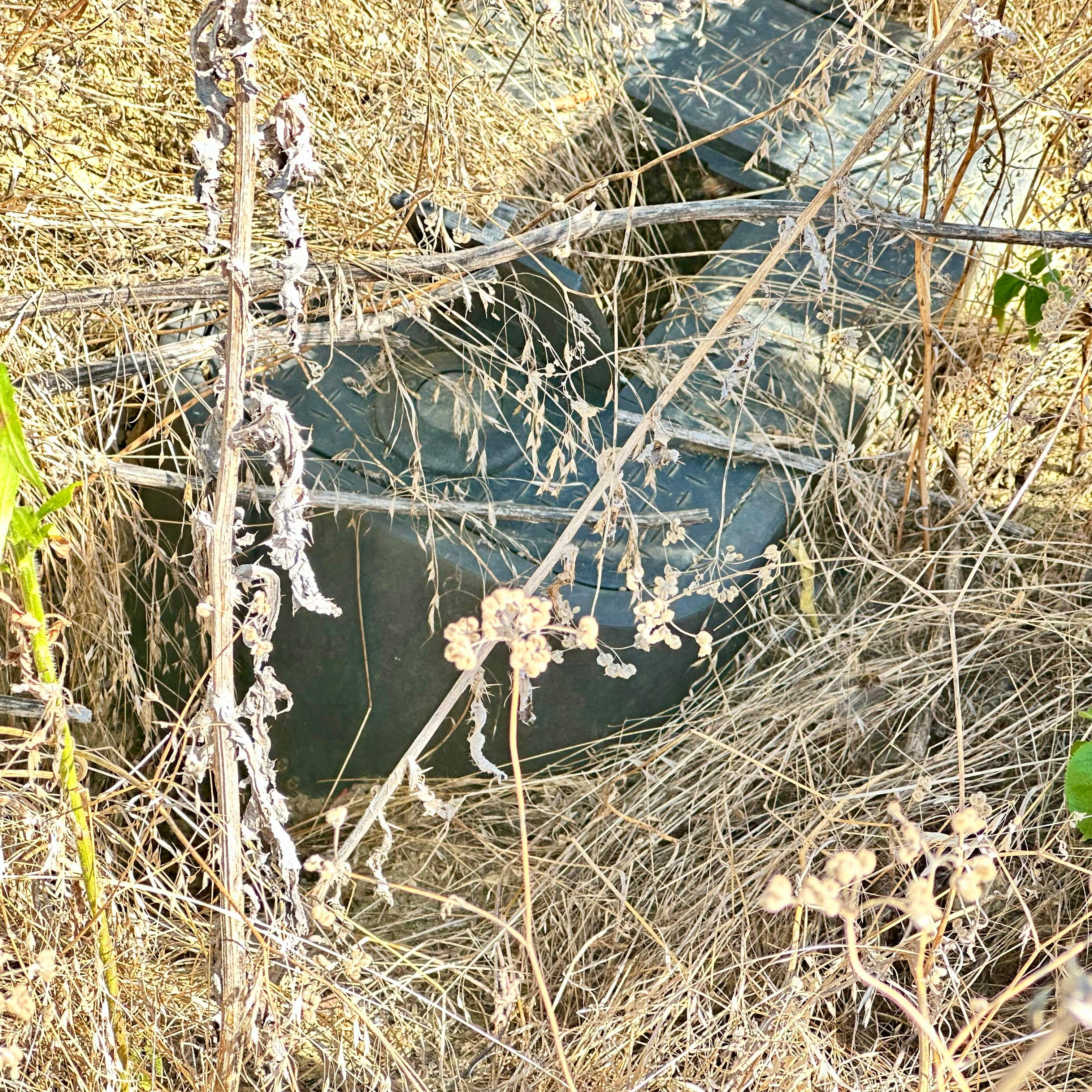 Well Meter by Rockwall Honey Bee Company