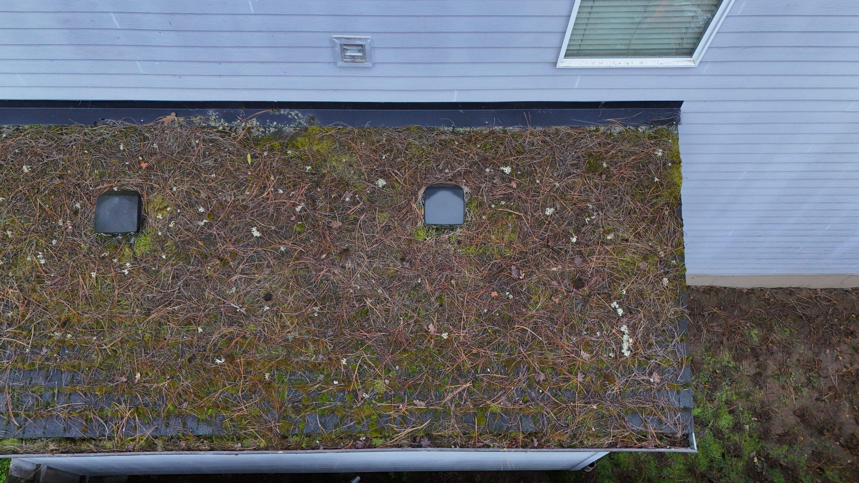 Severe Roof Maintenance in Beaverton by Prodigy Roof Solutions