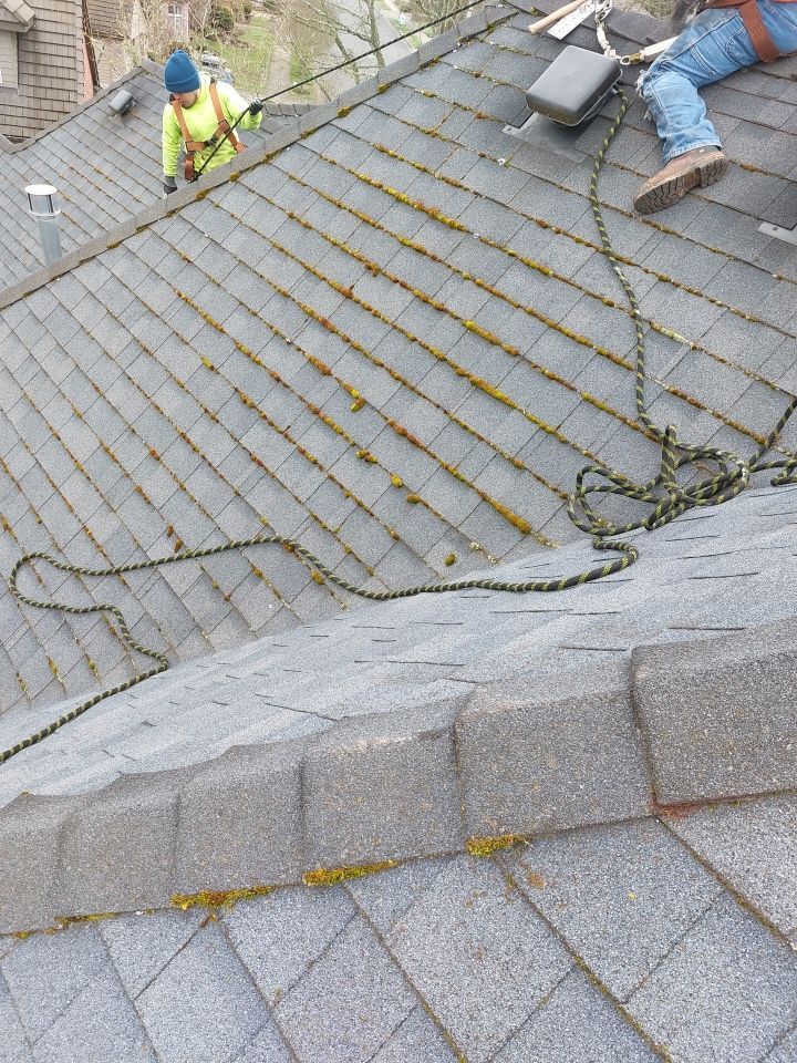 Roof Cleaning  using Moss Treatment  by BEST Roofing & Waterproofing