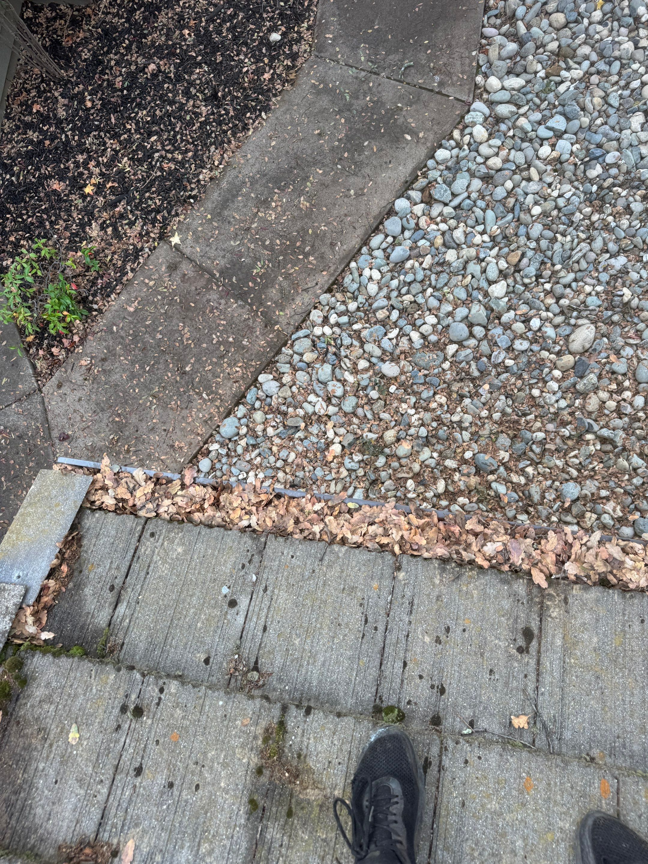 Commercial gutter cleaning Shingle Springs, CA before photo with filled gutters