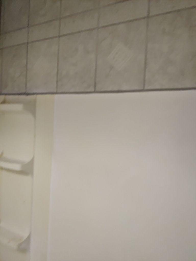 Mold Remediation in Basement by Accountable Home Services