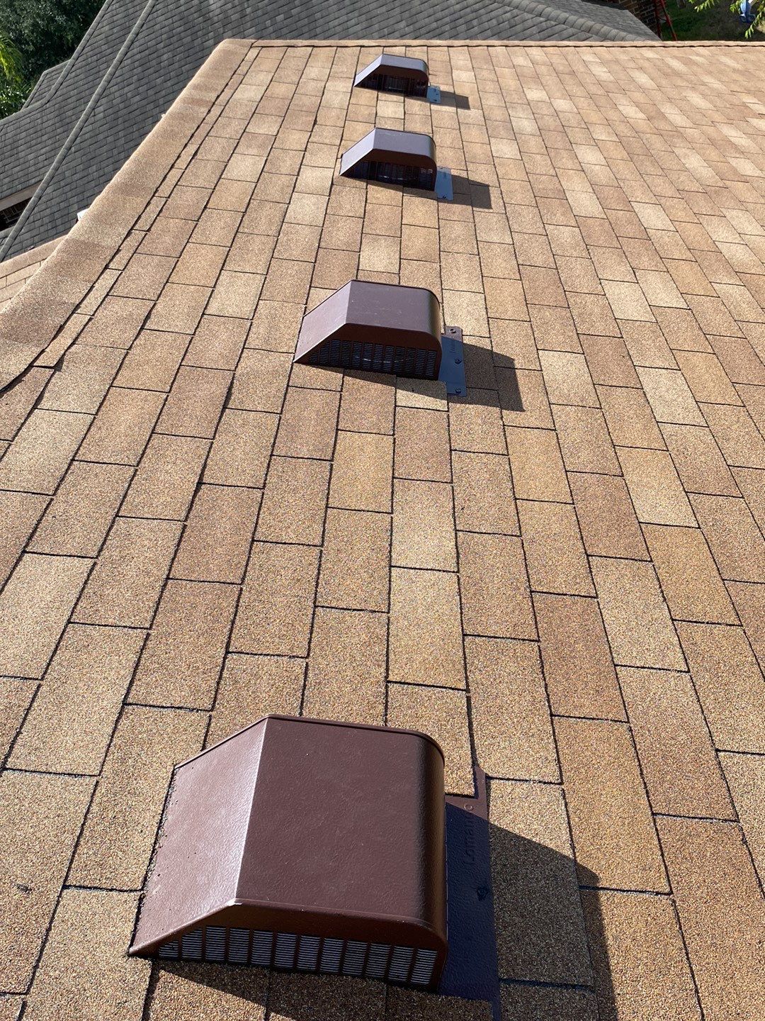 Alamo Roof Project by Bison Roofing