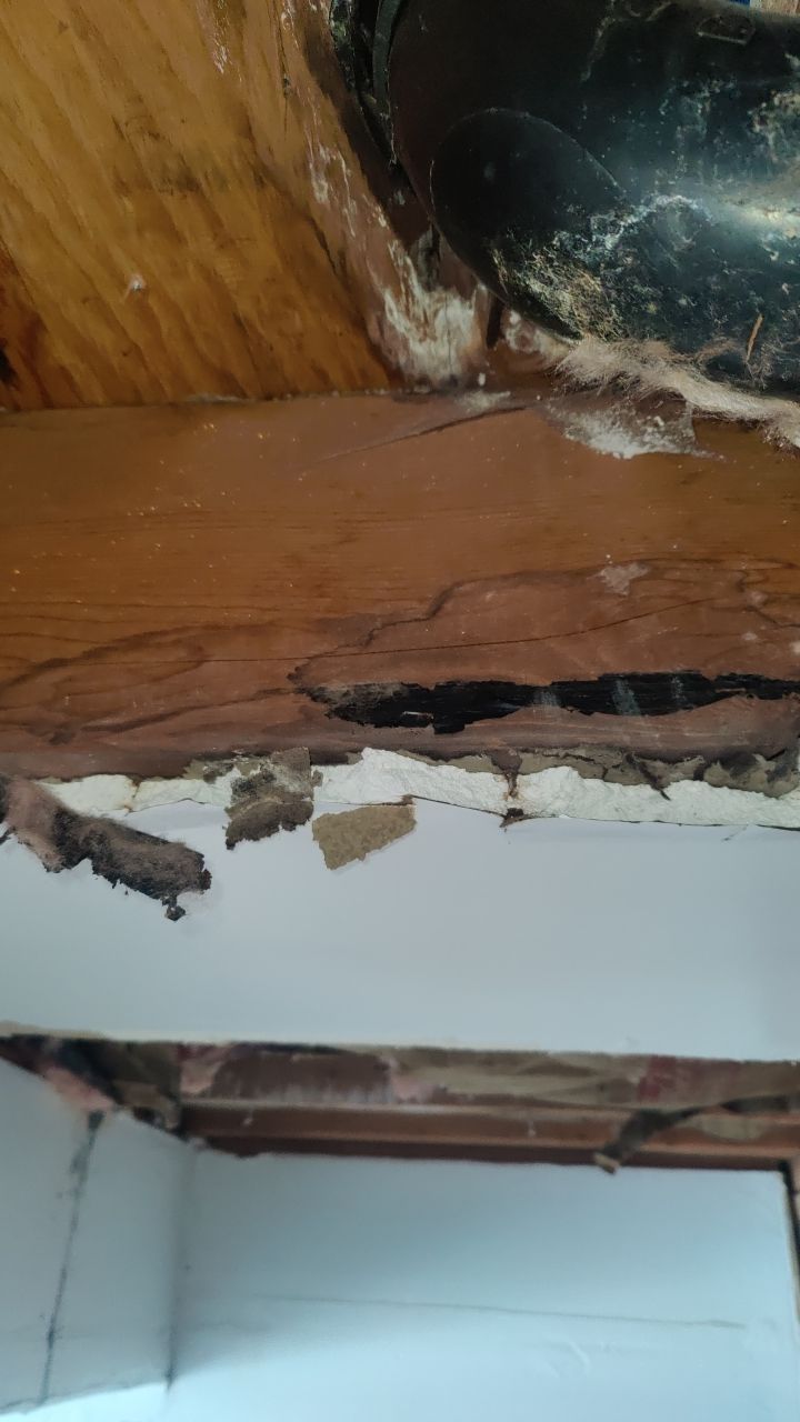 Water Damage  by Accountable Home Services