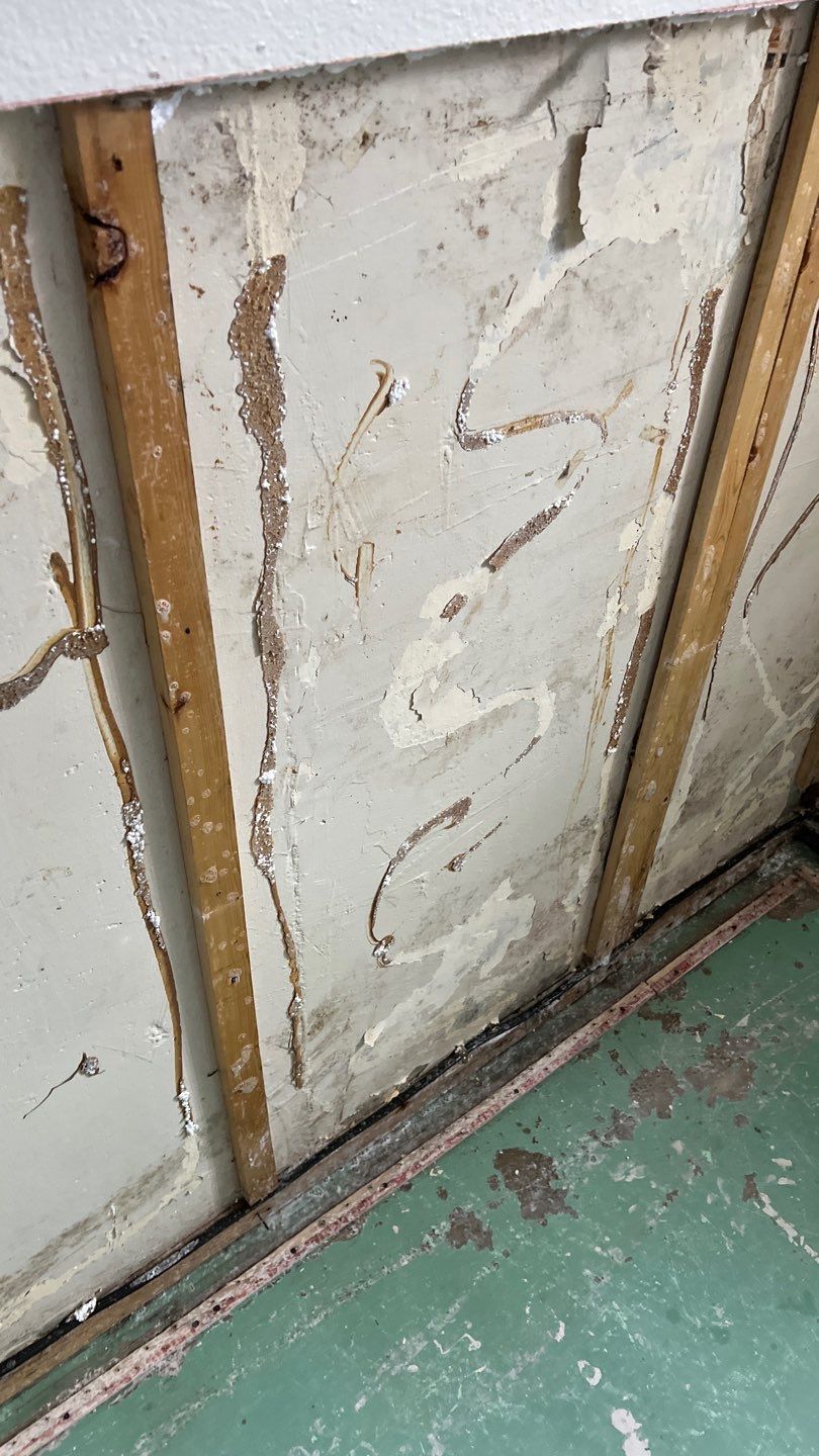 Mold Remediation by Accountable Home Services
