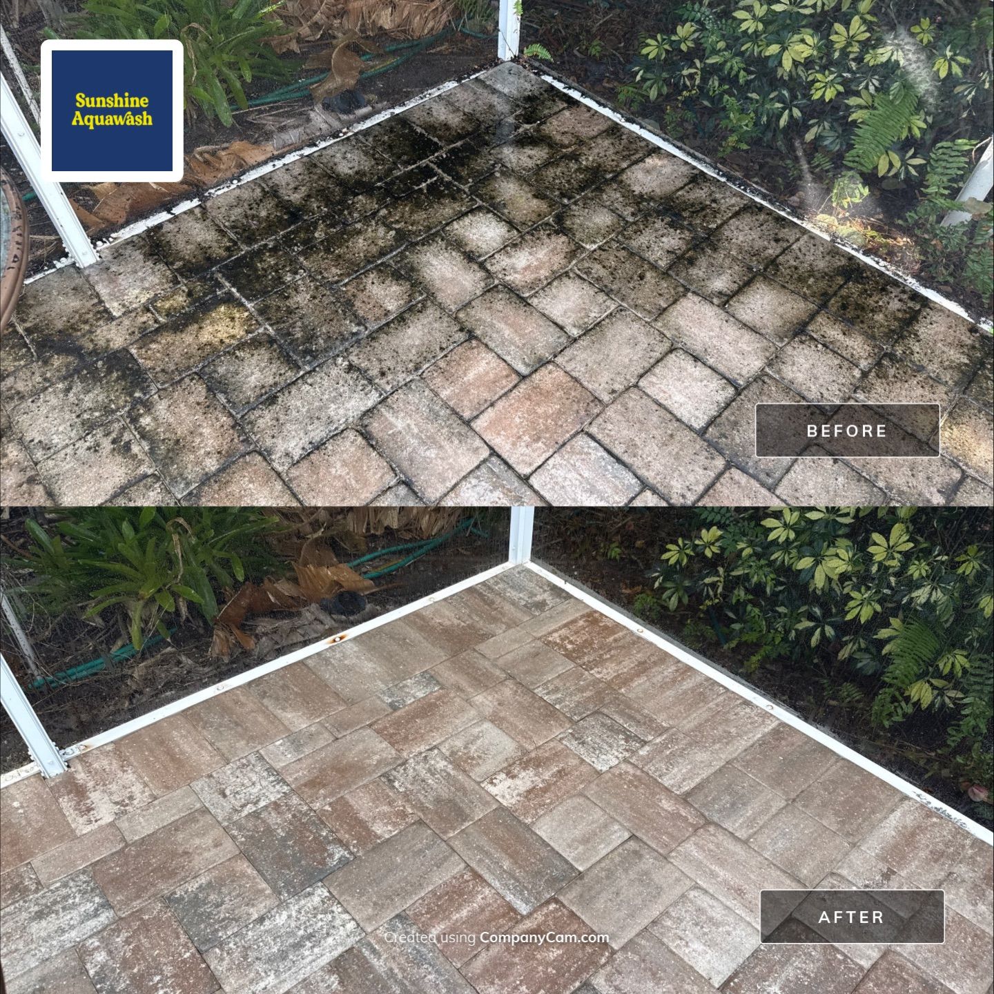 Paver Pool Deck & Screen Enclosure Transformation | University Park, Sarasota FL by Sunshine AquaWash