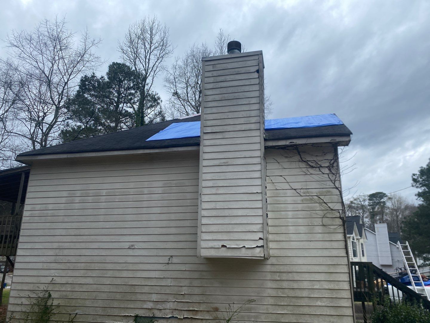Rotten Wood by Roof Bullies