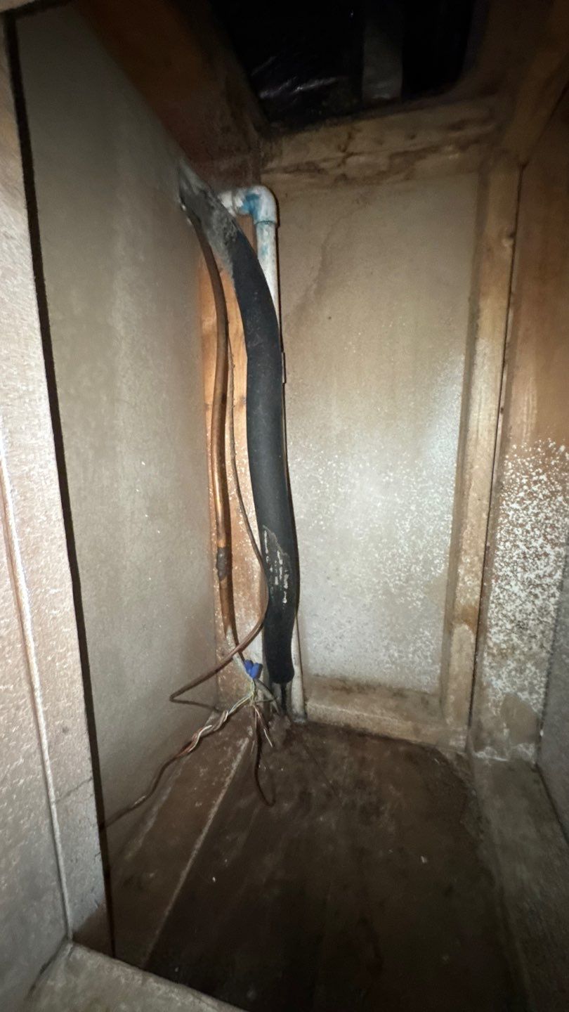 Extremely Dirty Air Duct Cleaning in Fruitland Park by Hygienic Air, Inc