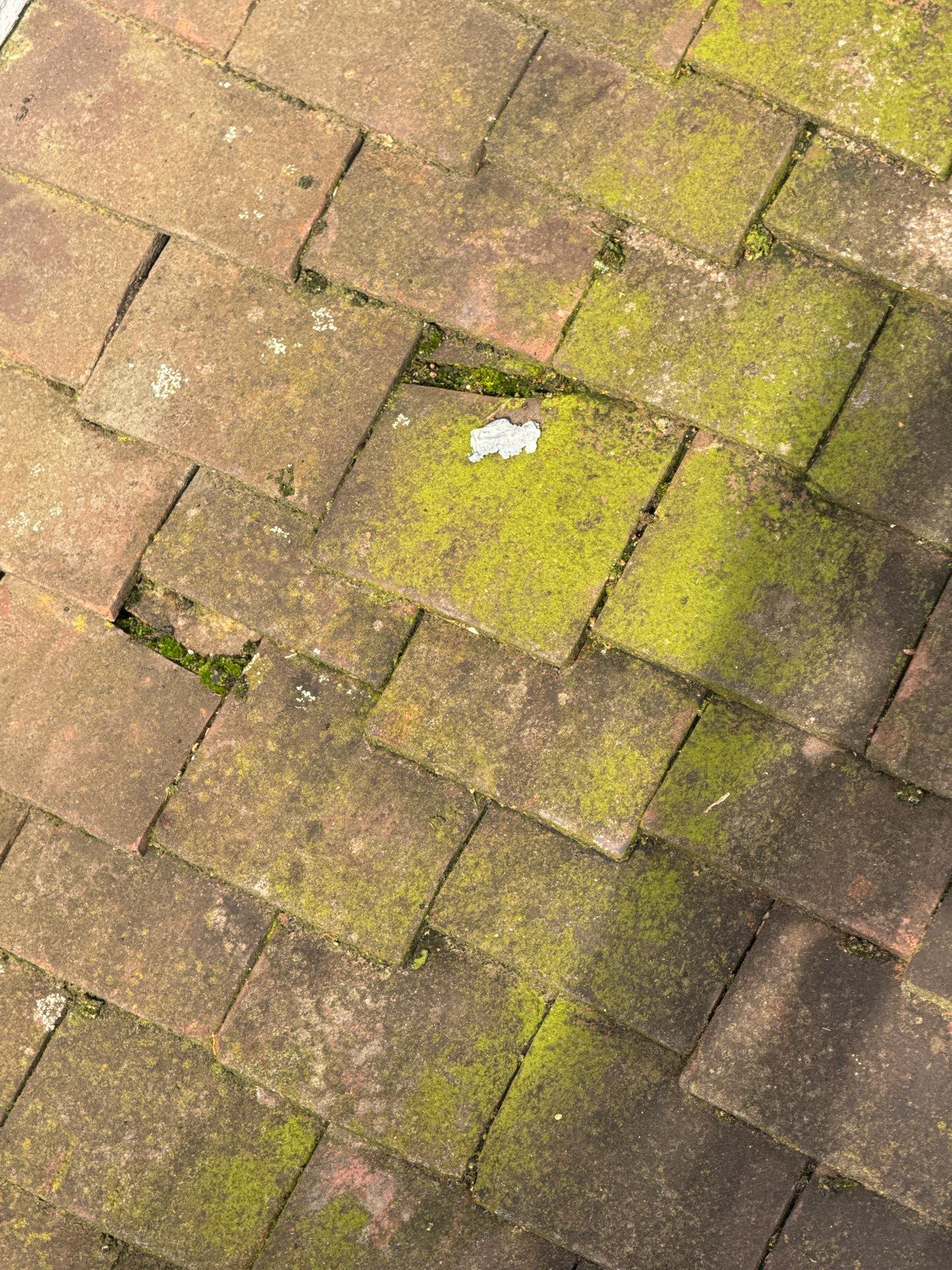 Exterior Clean - Roof - Patio - Driveway using Mosmatic FSC and Biocide by Ges Exterior Cleaning ltd