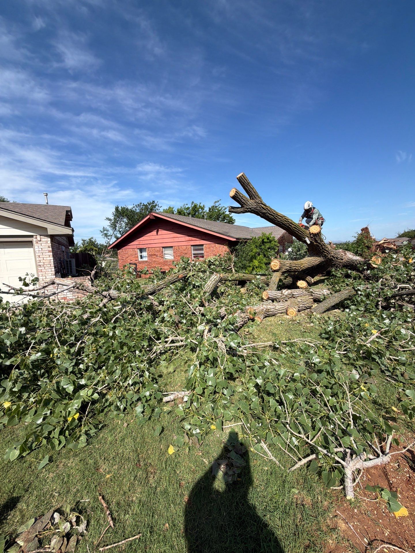 Emergency Tree Removal and Sod Installation Restoration in Lawton by Clays Services Inc