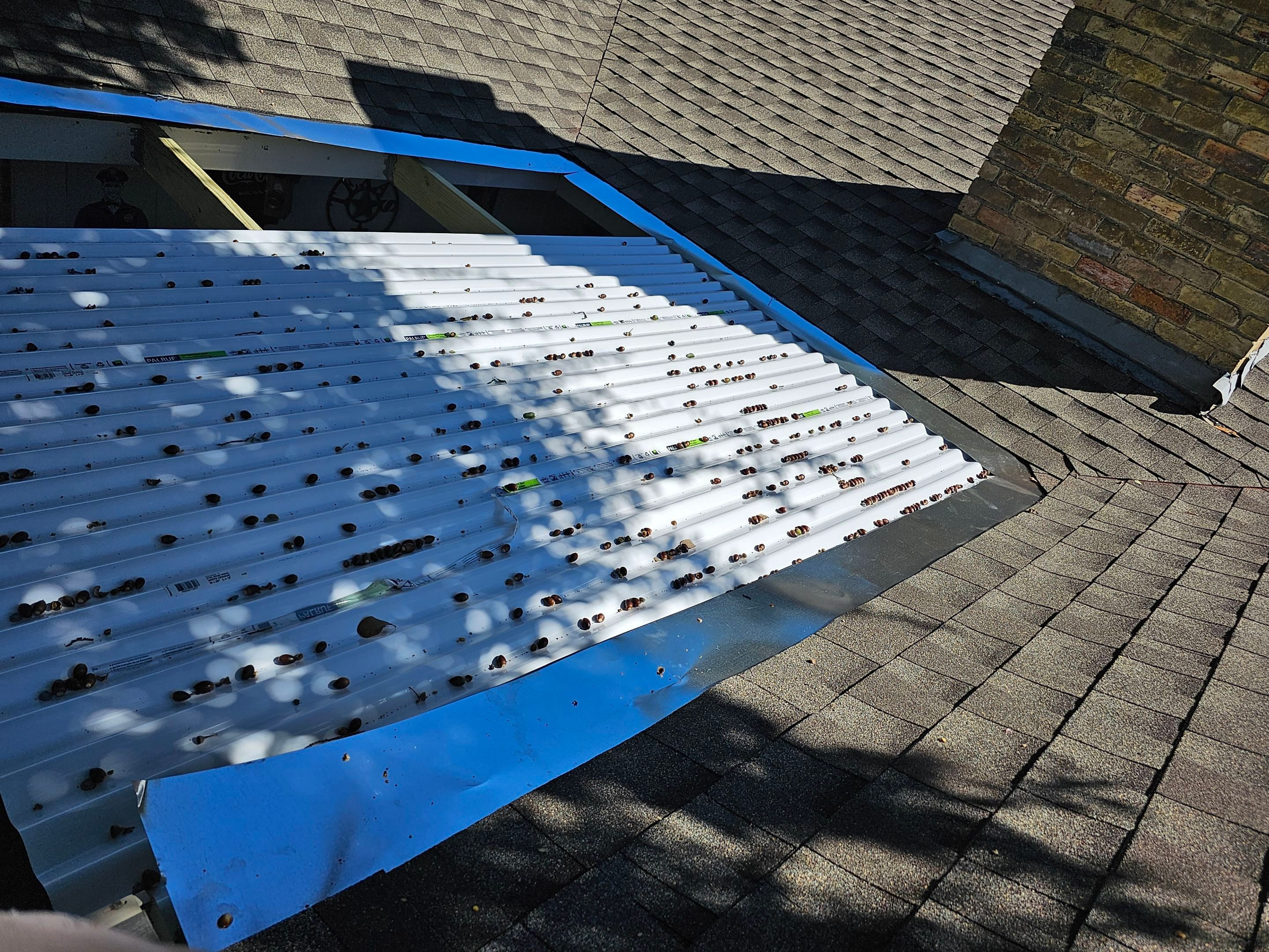 Roof replacement, popcorn removal, fence stain & paint by EL-GC LLC 