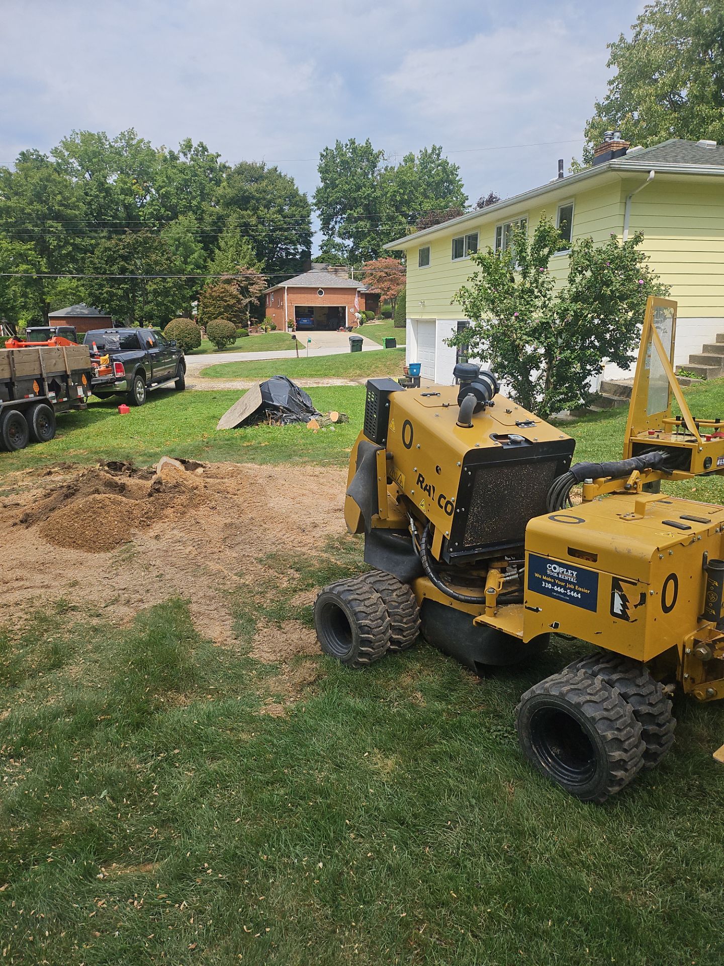 Tree Removal using Tree Removal by Mike Jones & Sons Tree Service LLC 