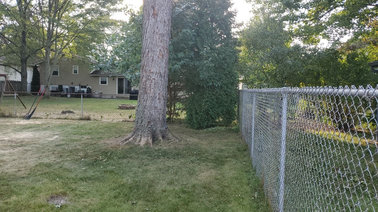 Oak Tree Removal by Mike Jones & Sons Tree Service LLC 