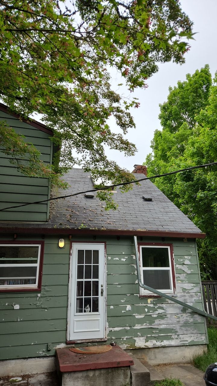 Moss Treatment using Biocide by Willamette Outdoor Wash LLC