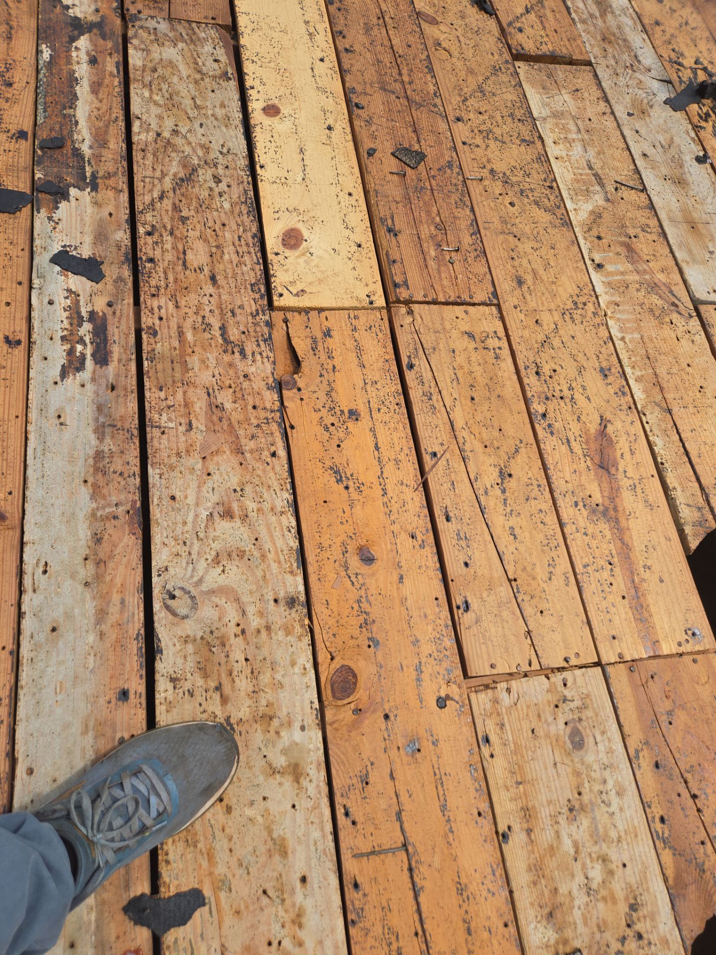 Project in St. Petersburg 33710 by Mitchell Roofing Company LLC 