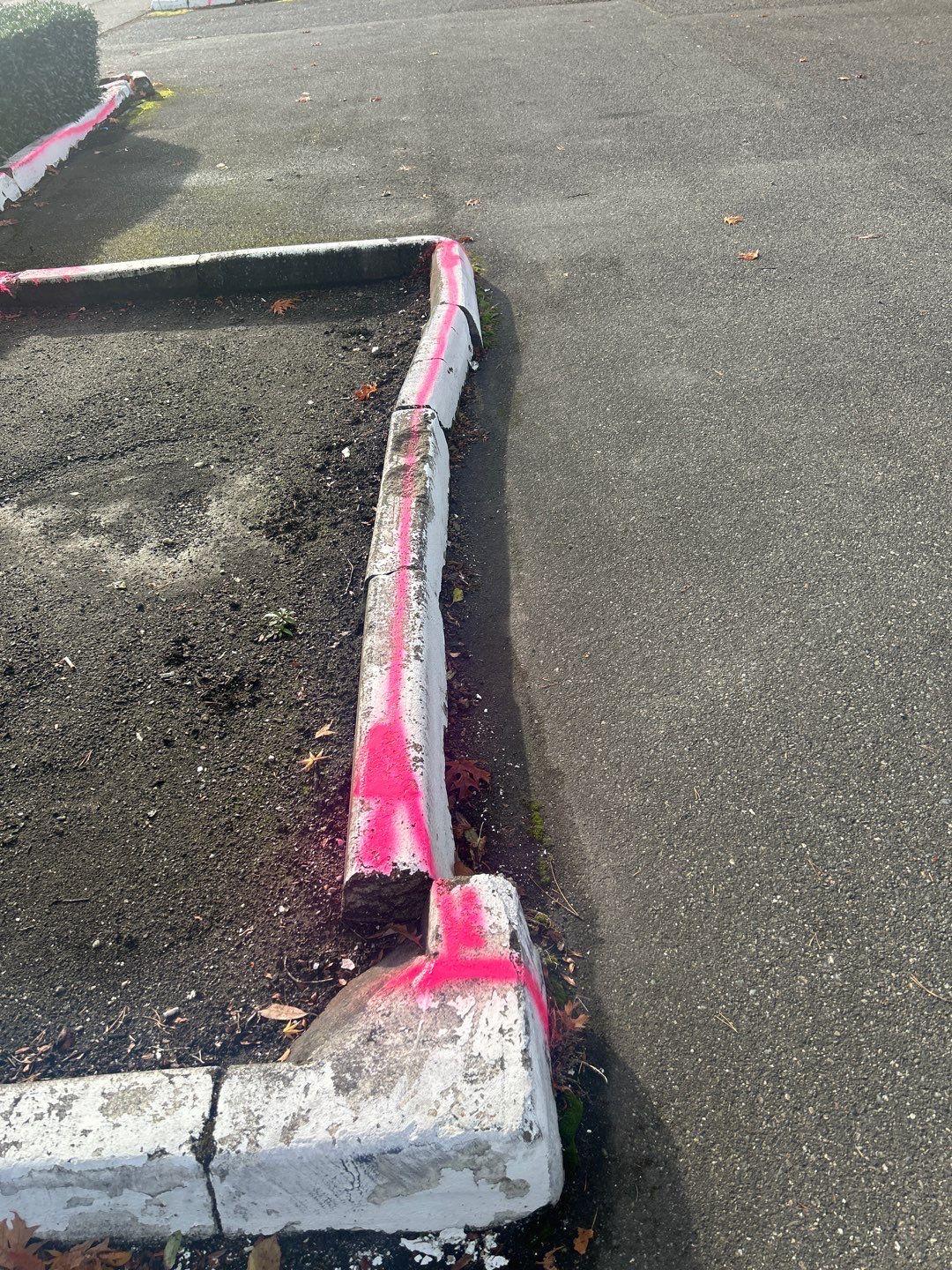 Lakeshore Investment | Parking Lot Repaving | Asphalt Project by Jireh Asphalt & Concrete Inc 