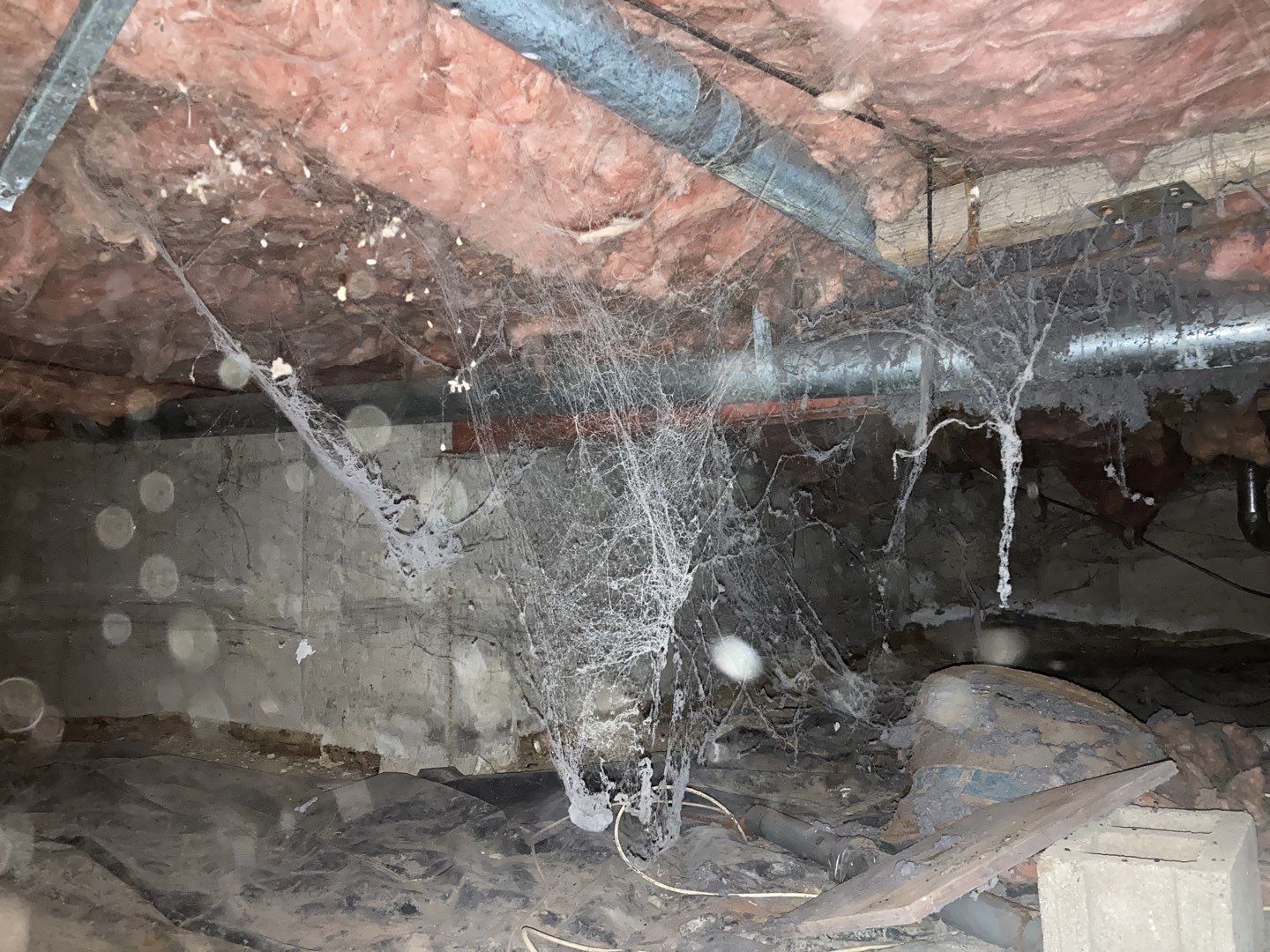 Crawl Space Cleanup  by Accountable Home Services
